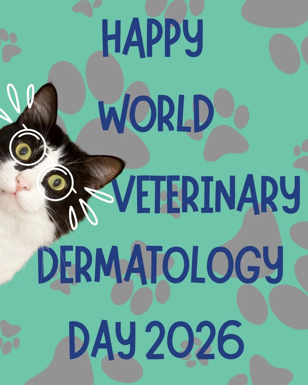 Happy World Veterinary Dermatology Day 🐶🐱

World Veterinary Dermatology Day is celebrated each year on 3rd February to highlight the importance of skin health in animals and to recognise the role veterinary dermatology plays in improving comfort, w
