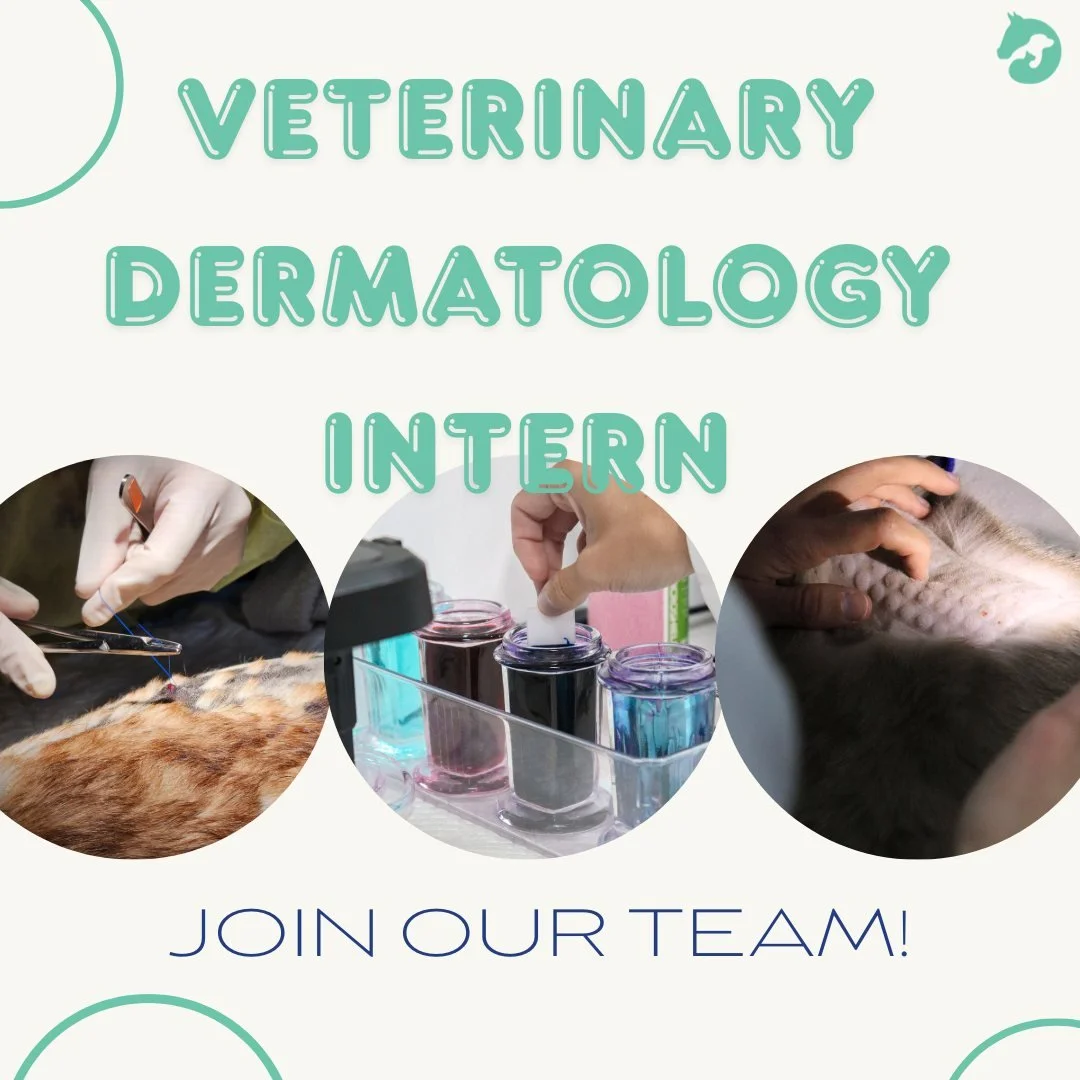 🐾 We&rsquo;re Hiring: Veterinary Dermatology Intern🐾

Are you a junior vet excited to build specialist skills in veterinary dermatology? 

We&rsquo;re looking for an intern to join our team and gain hands-on experience across advanced dermatology p