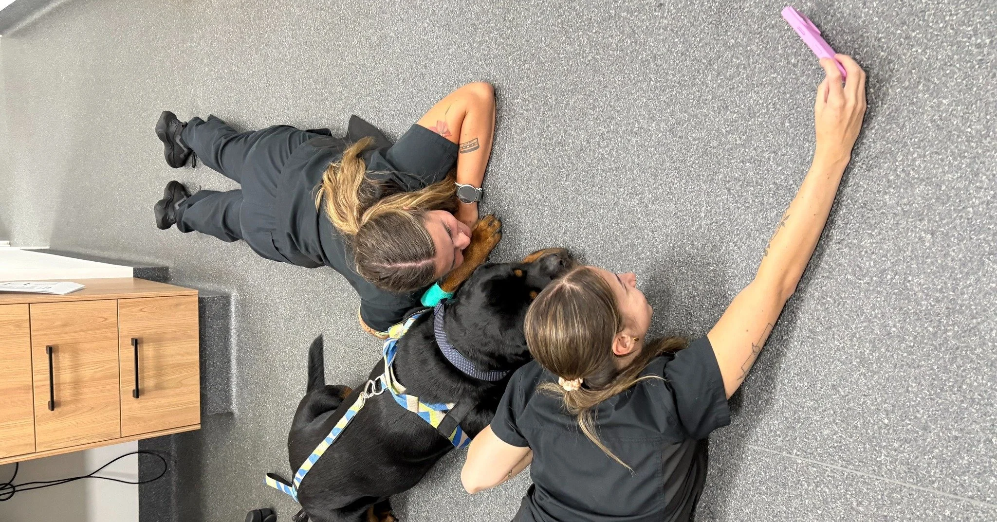 This handsome Rottweiler had his moment in front of the camera last Friday during Dental Day 🦷

Swipe to see the behind-the-scenes setup ➡️ and the final photo we captured 📸

We love sharing these little behind-the-scenes moments that showcase the 