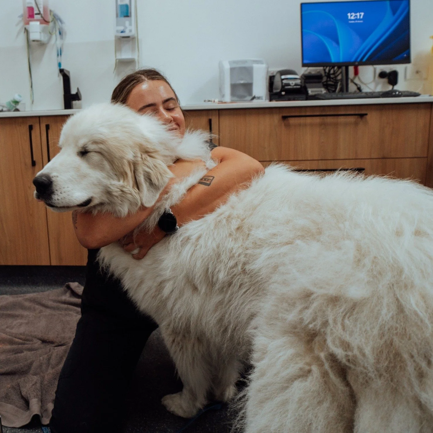 Sometimes the best way to get through the week is with a big fluffy hug. 🐾💙