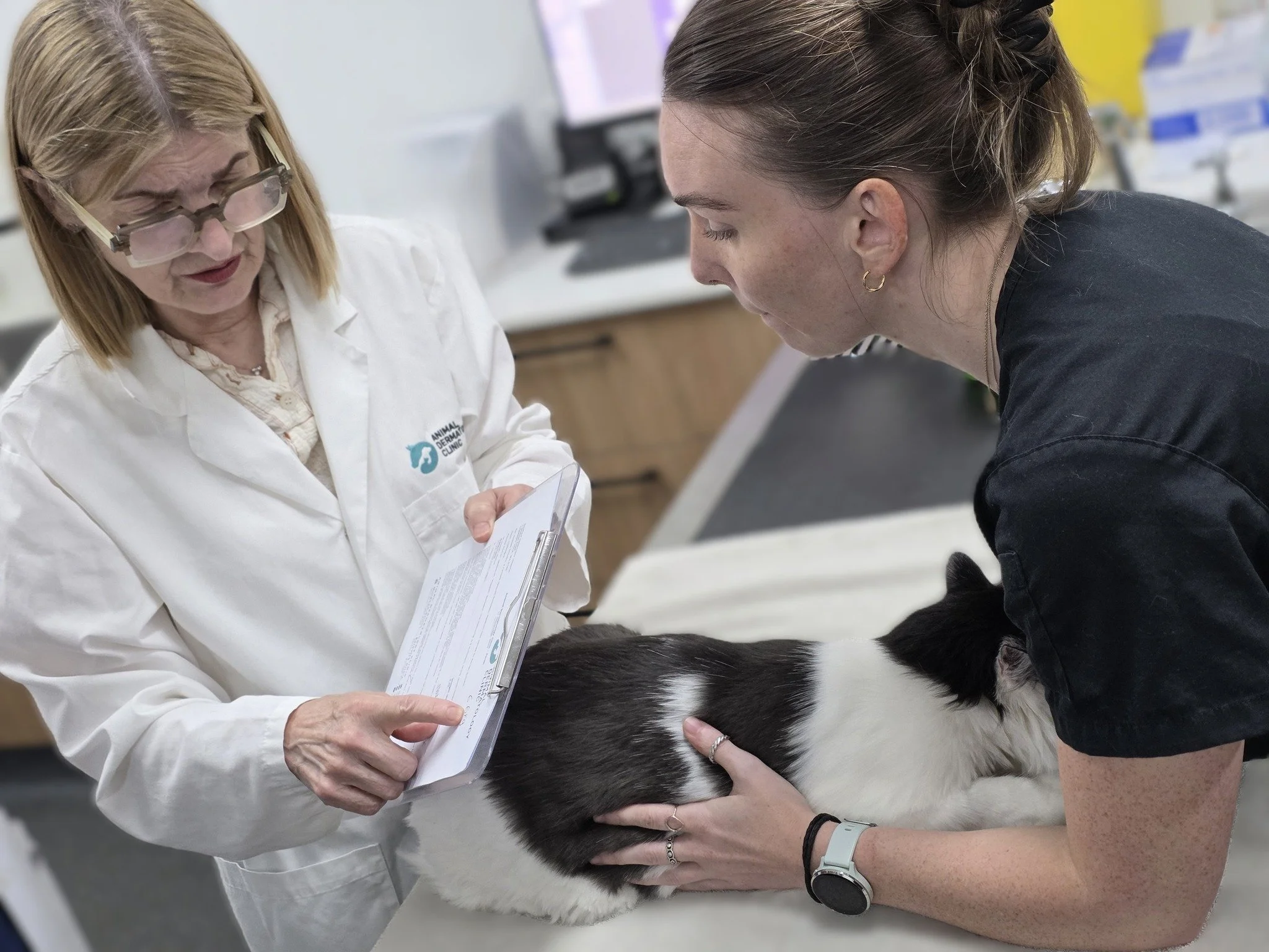 Tomorrow we celebrate World Veterinary Day 🐾

It&rsquo;s a chance to recognise the incredible work veterinarians do every day to keep animals healthy, comfortable, and thriving. From diagnosing complex skin conditions to improving quality of life fo