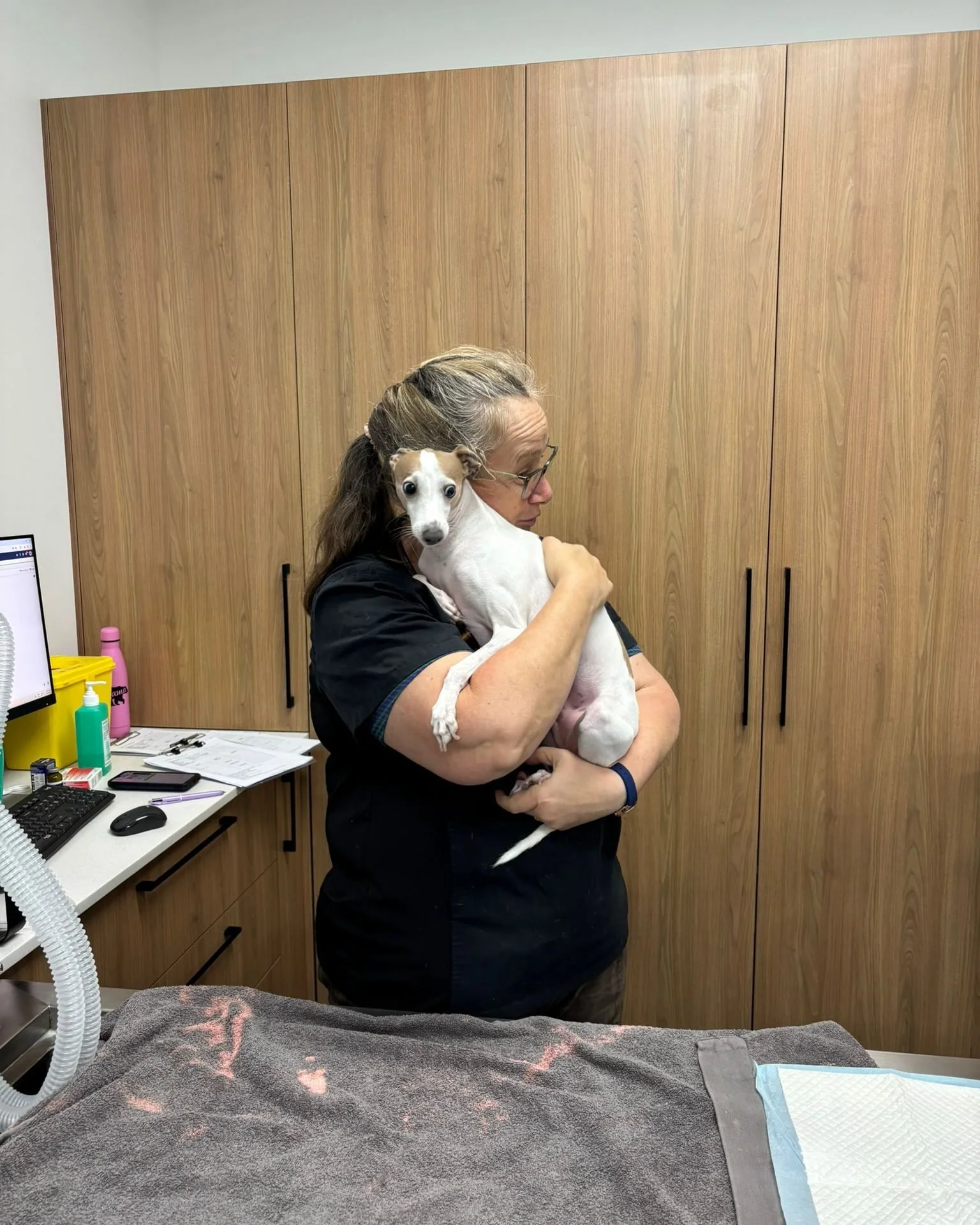 Sometimes, you just need a hug 🥹🐾

Our anaesthetist Dr Gabby sharing a very sweet moment with one of our little patients during a visit.

We&rsquo;re not entirely sure who needed the cuddle more&hellip; the patient or the vet 💙

Moments like these