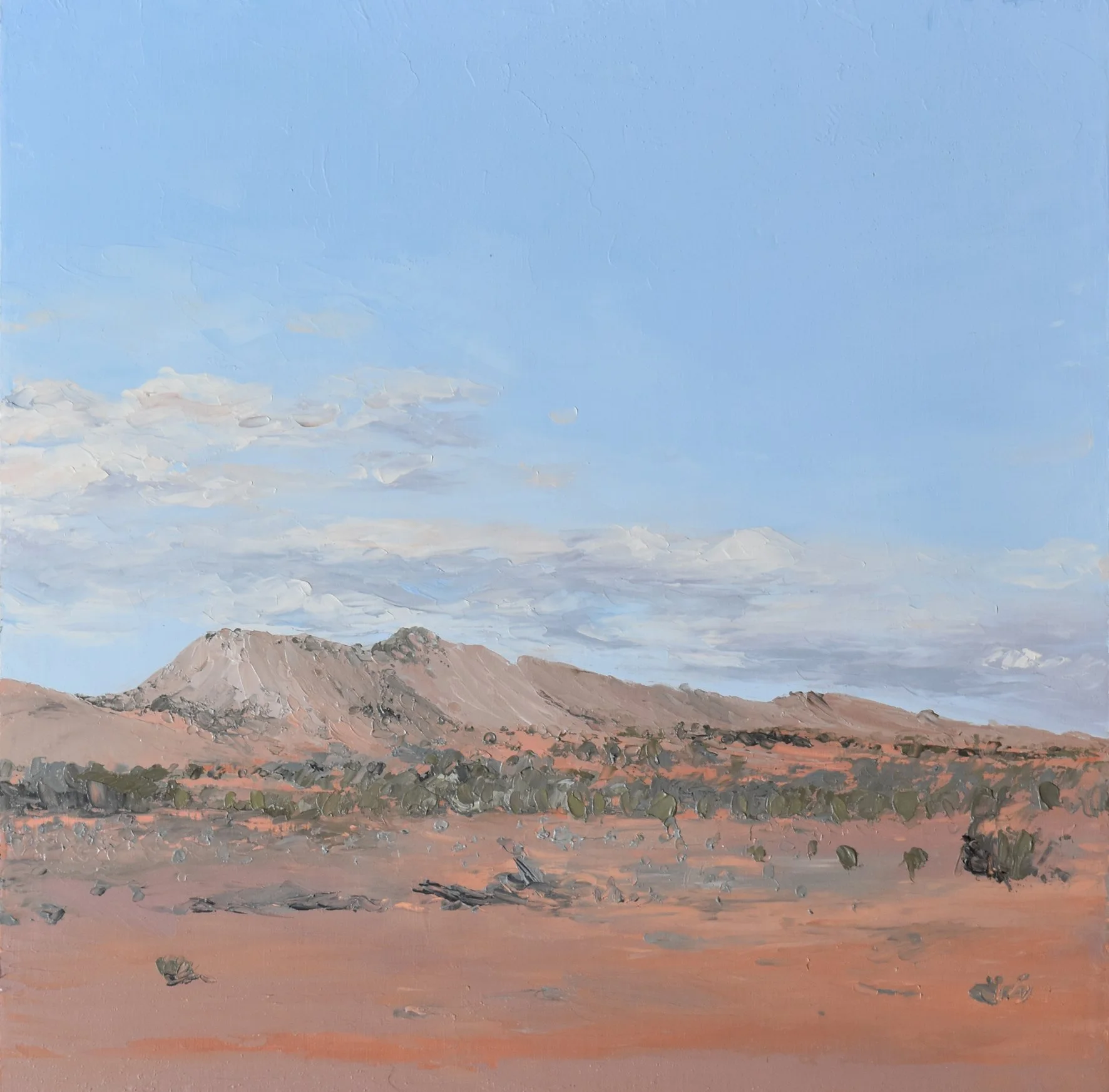  Deceptive Softness, Witchelina, oil on board 25 cx 25cm  SOLD 