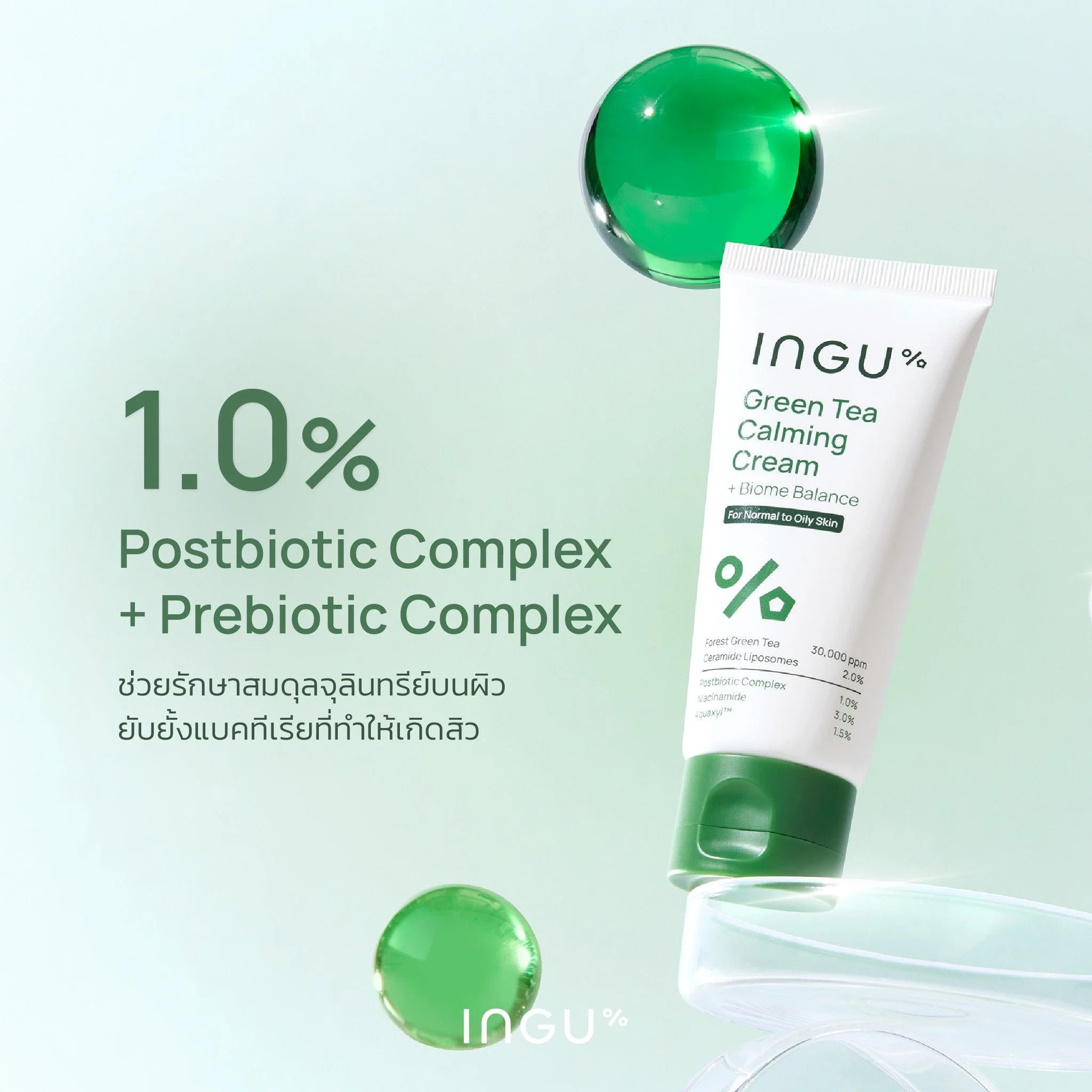 ingu balance4.jpg