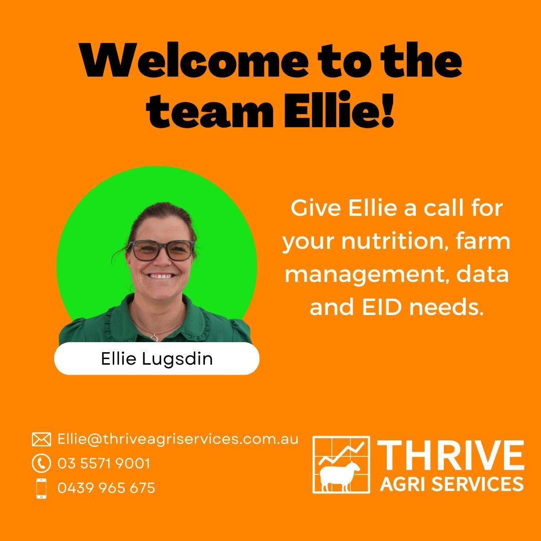 Welcome to the Thrive Team Ellie! Ellie joins us after a recent move to Hamilton from southern NSW. Ellie's passion areas are livestock nutrition, genetics and data management.  Reach out and give Ellie a call or schedule a time for a chat in the off