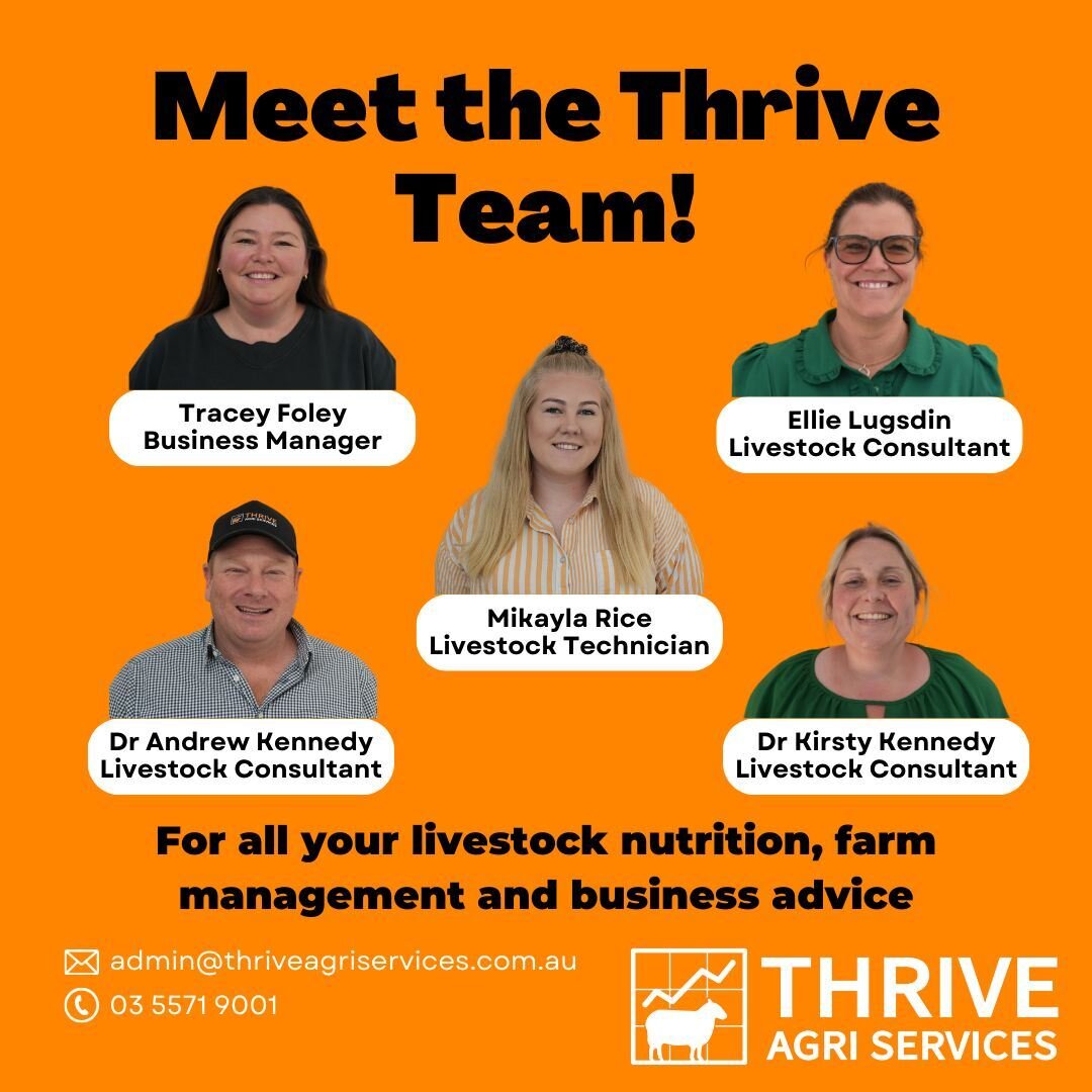 Meet the Team, Tracy, Ellie, Mikayla, Kirsty and Andrew. Reach out to the team for all your livestock nutrition, farm management and business advice. www.thriveagriservices.com.au