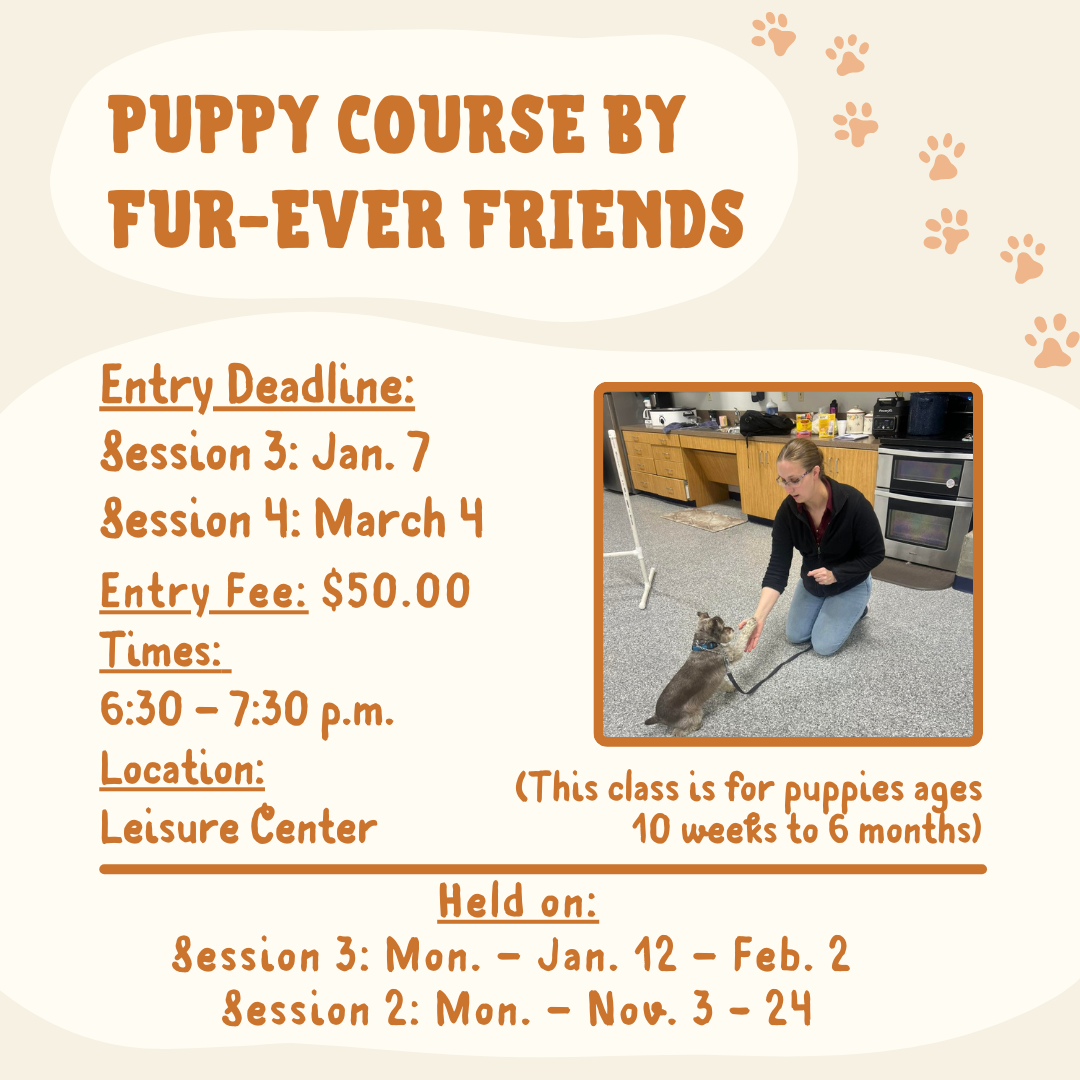 Puppy Obedience2026.png