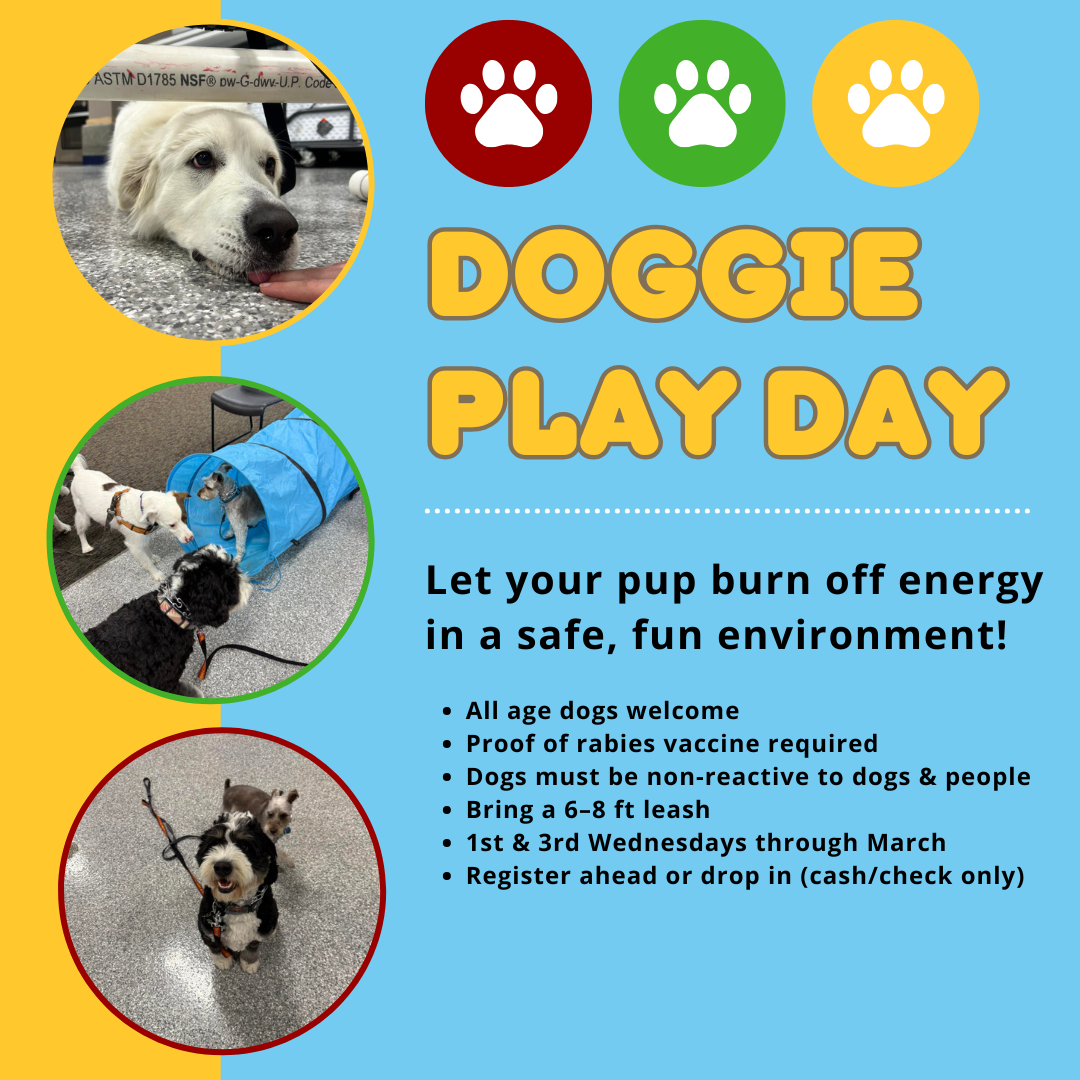 2-4+Dog+Play+day.png