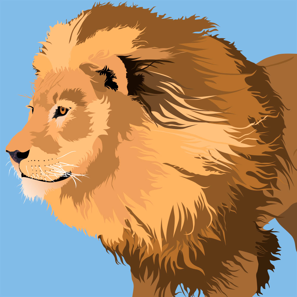 2-lion.jpg