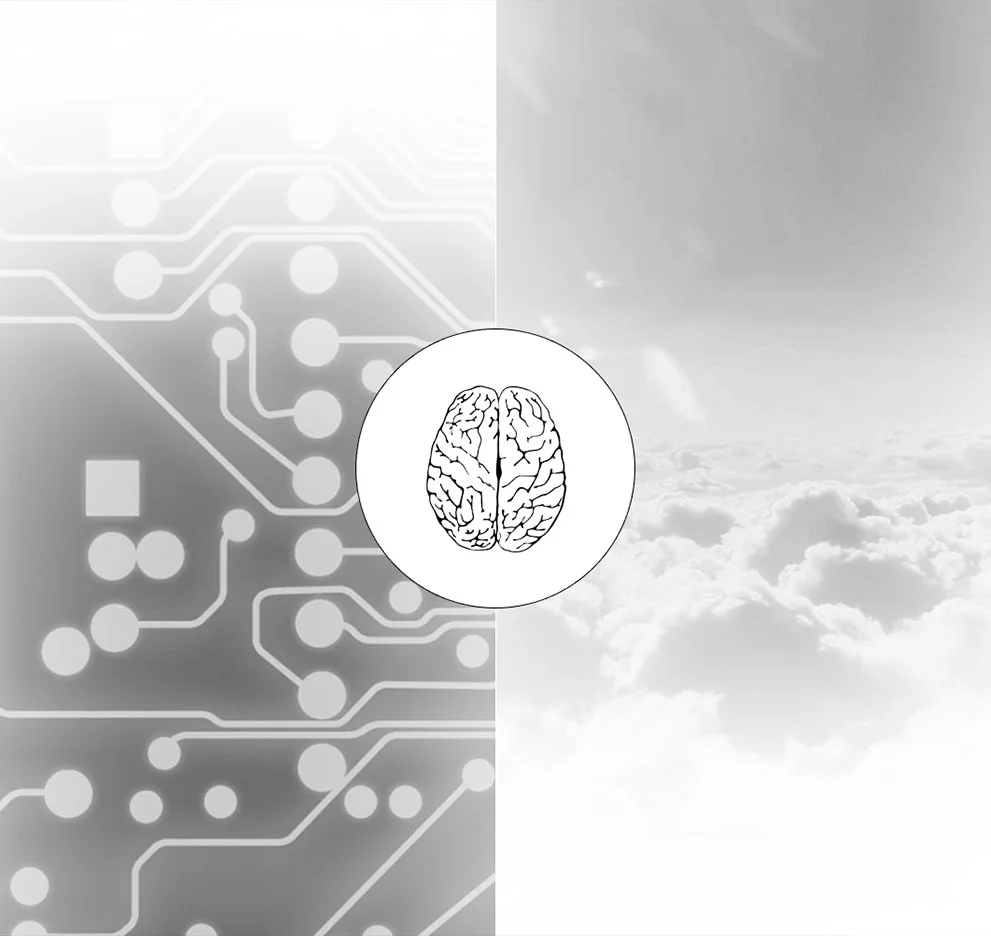 Brain Hemispheres