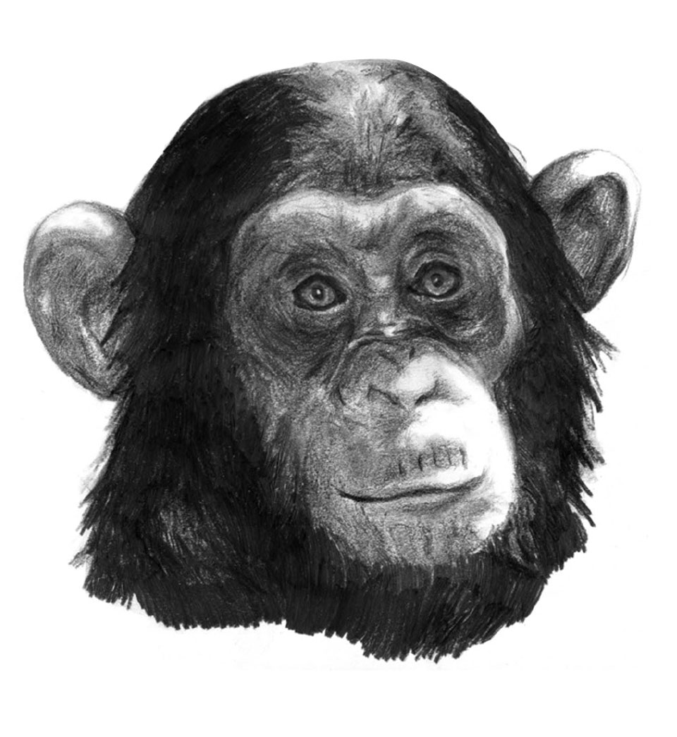 portraits7.jpg
