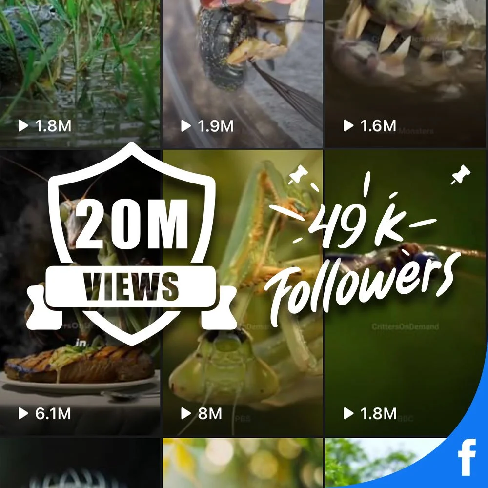 Critters On Demand Facebook Page