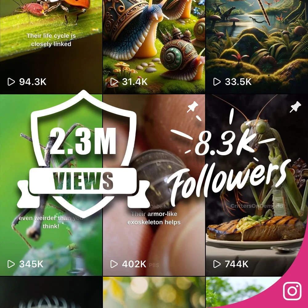 Critters On Demand Instagram Page