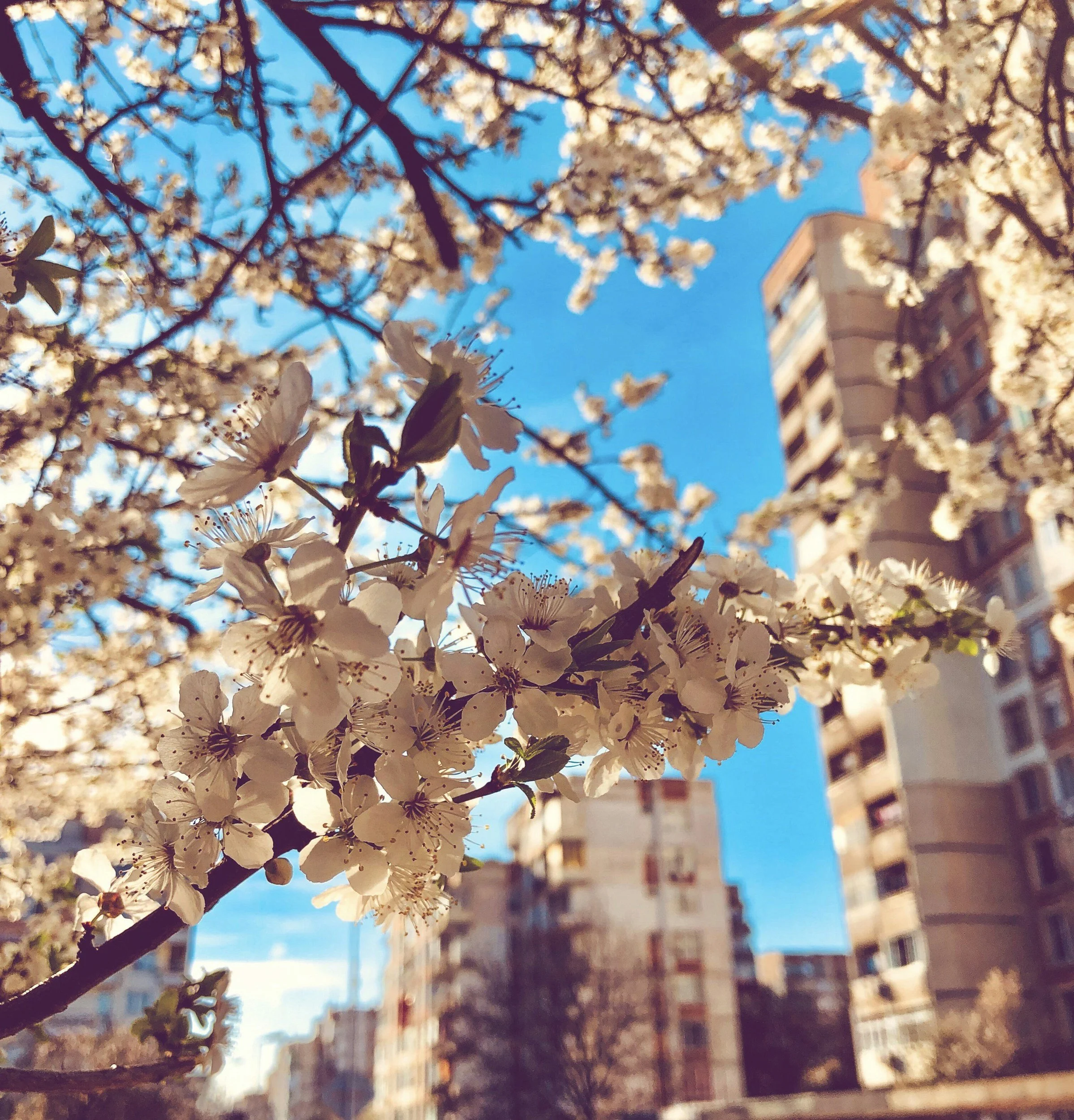 unsplash-image-EFNKoLywmrM.jpg