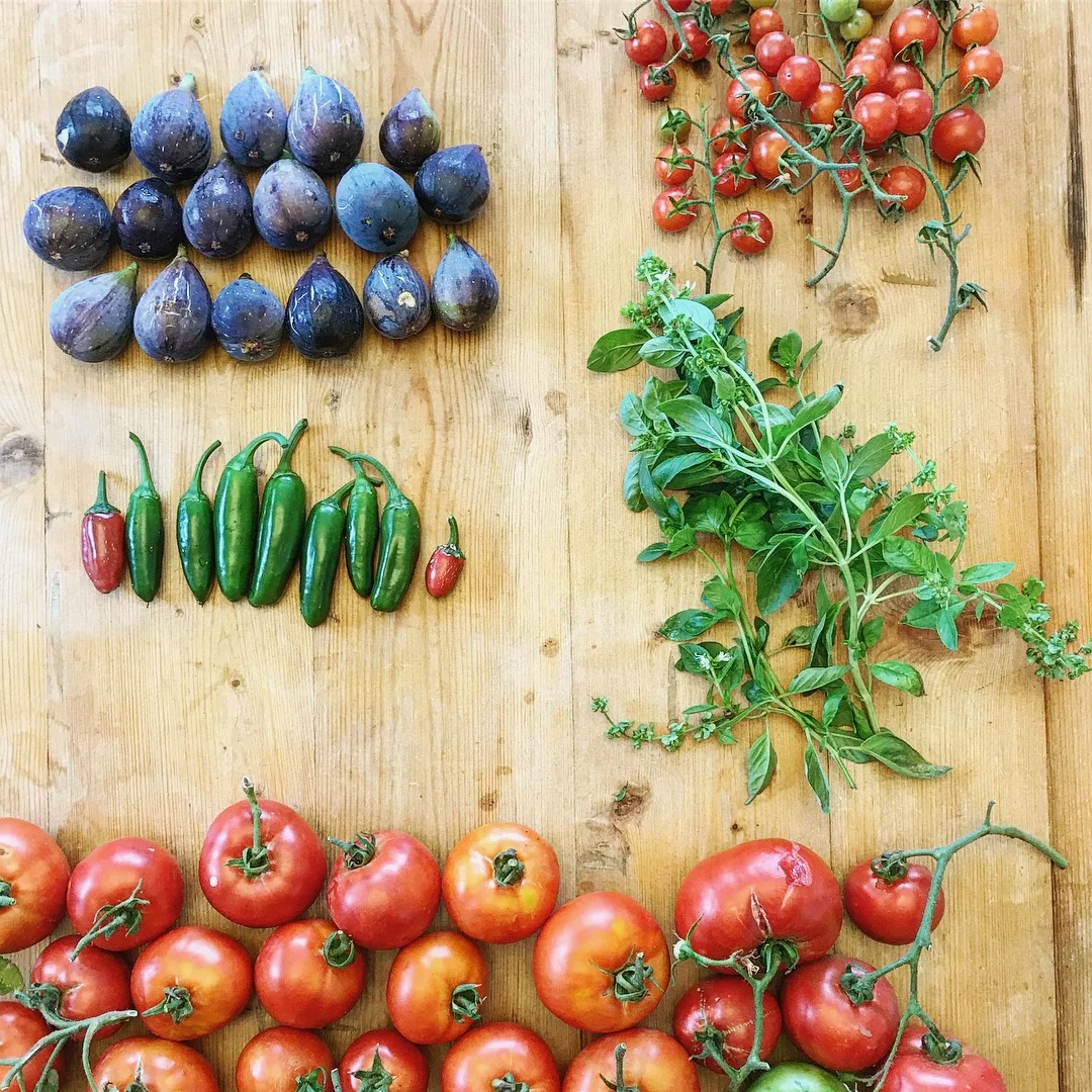 I spend three seasons in the garden attempting to turn my brown thumb green. Those around me frequently enjoy the fruits of my labor (literally).