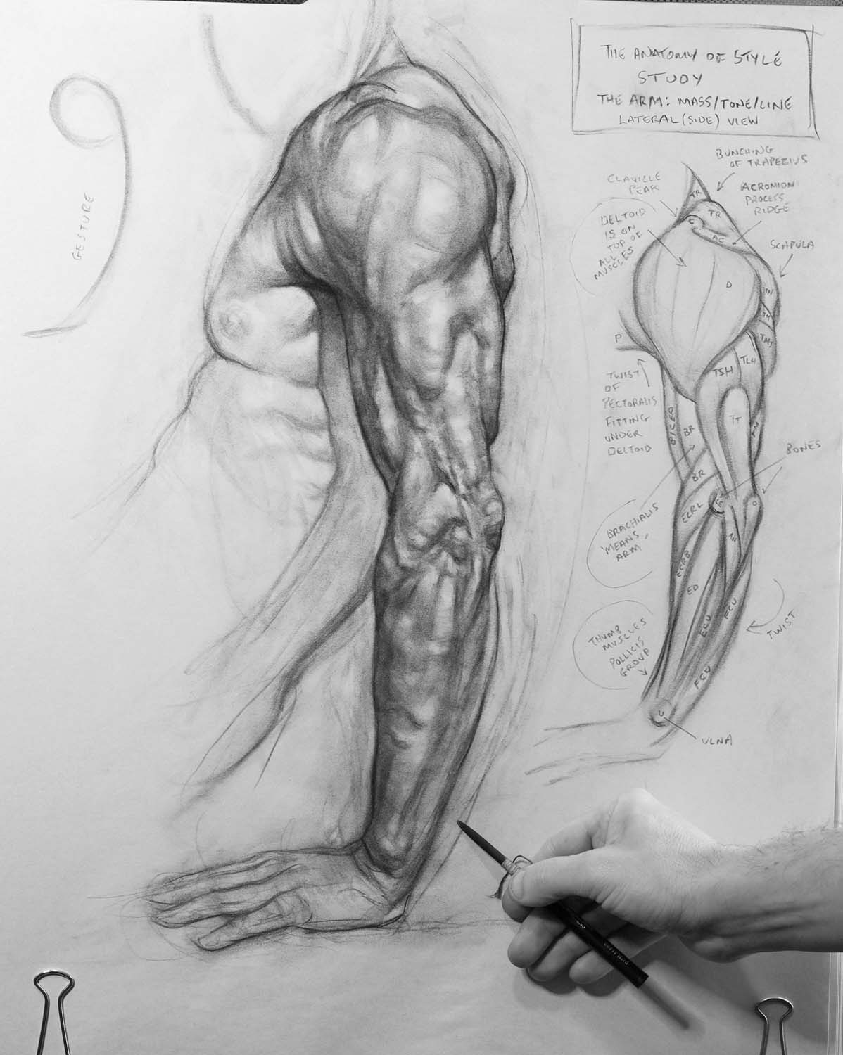 Arm Study1 copy.jpg