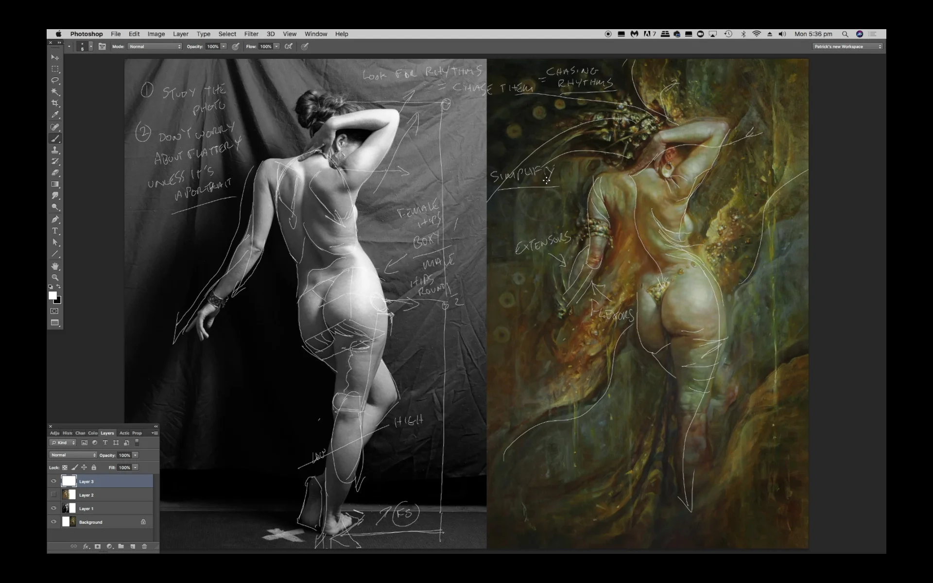 anatomy as structure preview 2.jpg