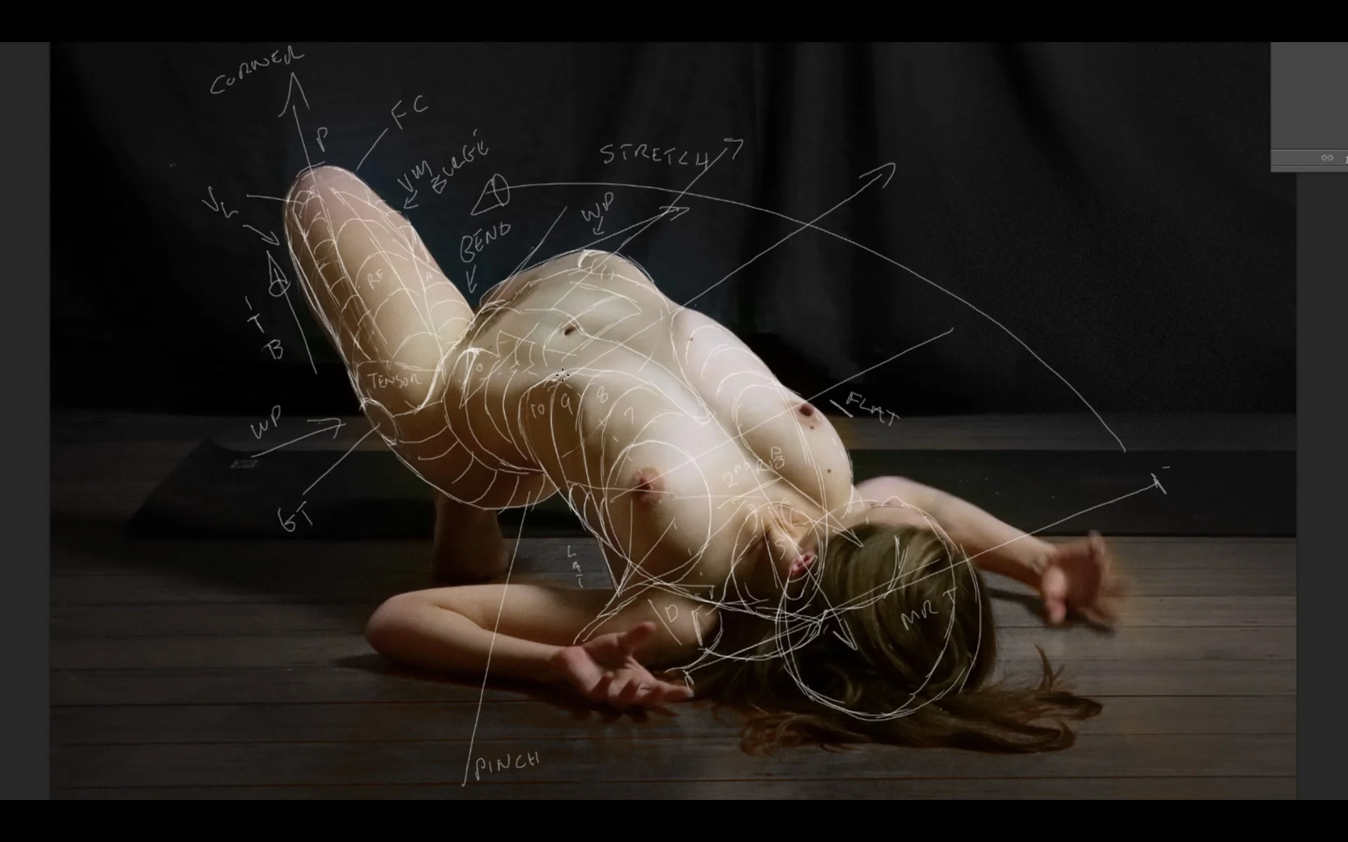 anatomy as structure preview 4.jpg