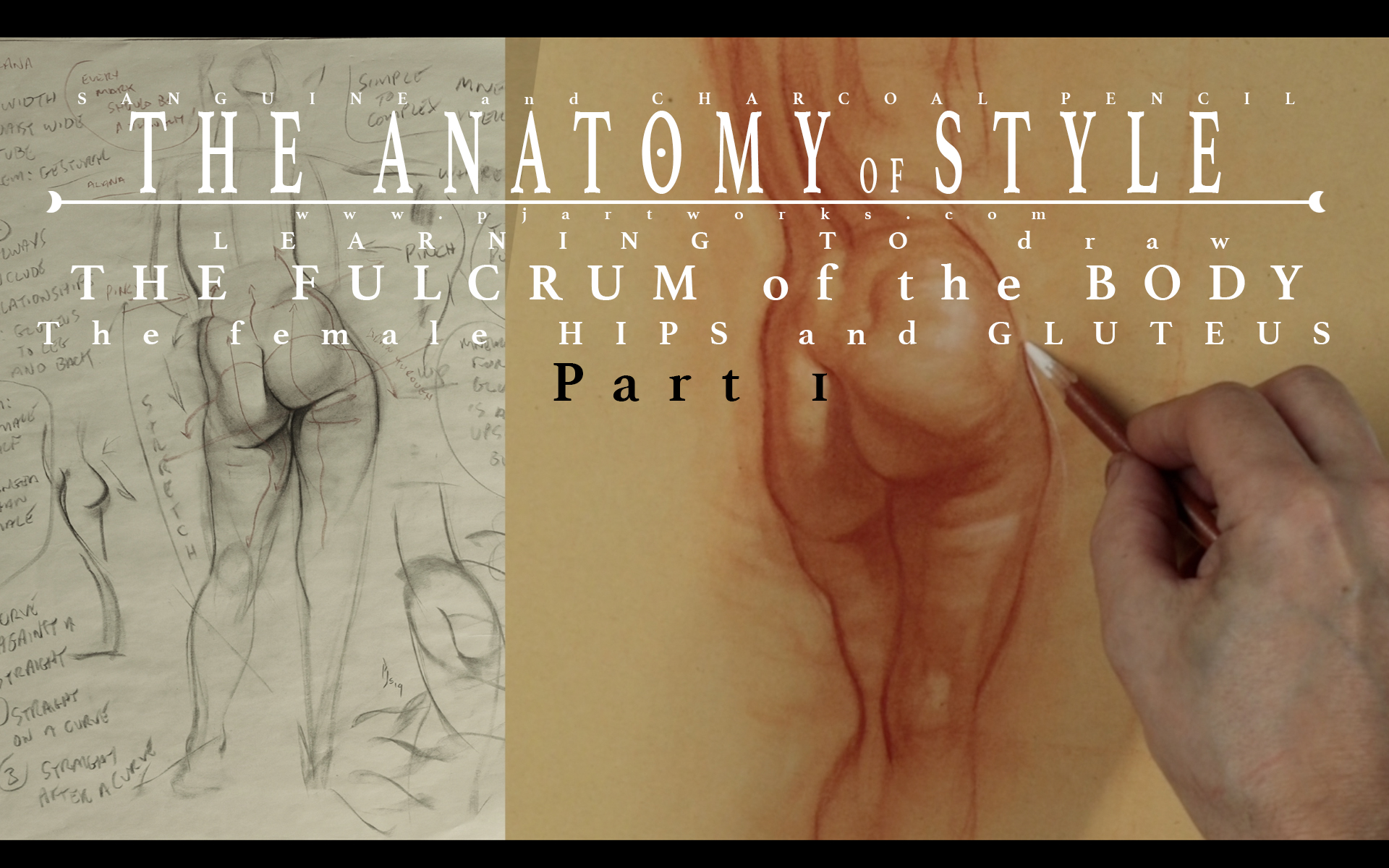 The hips and Gluteus part1.jpg