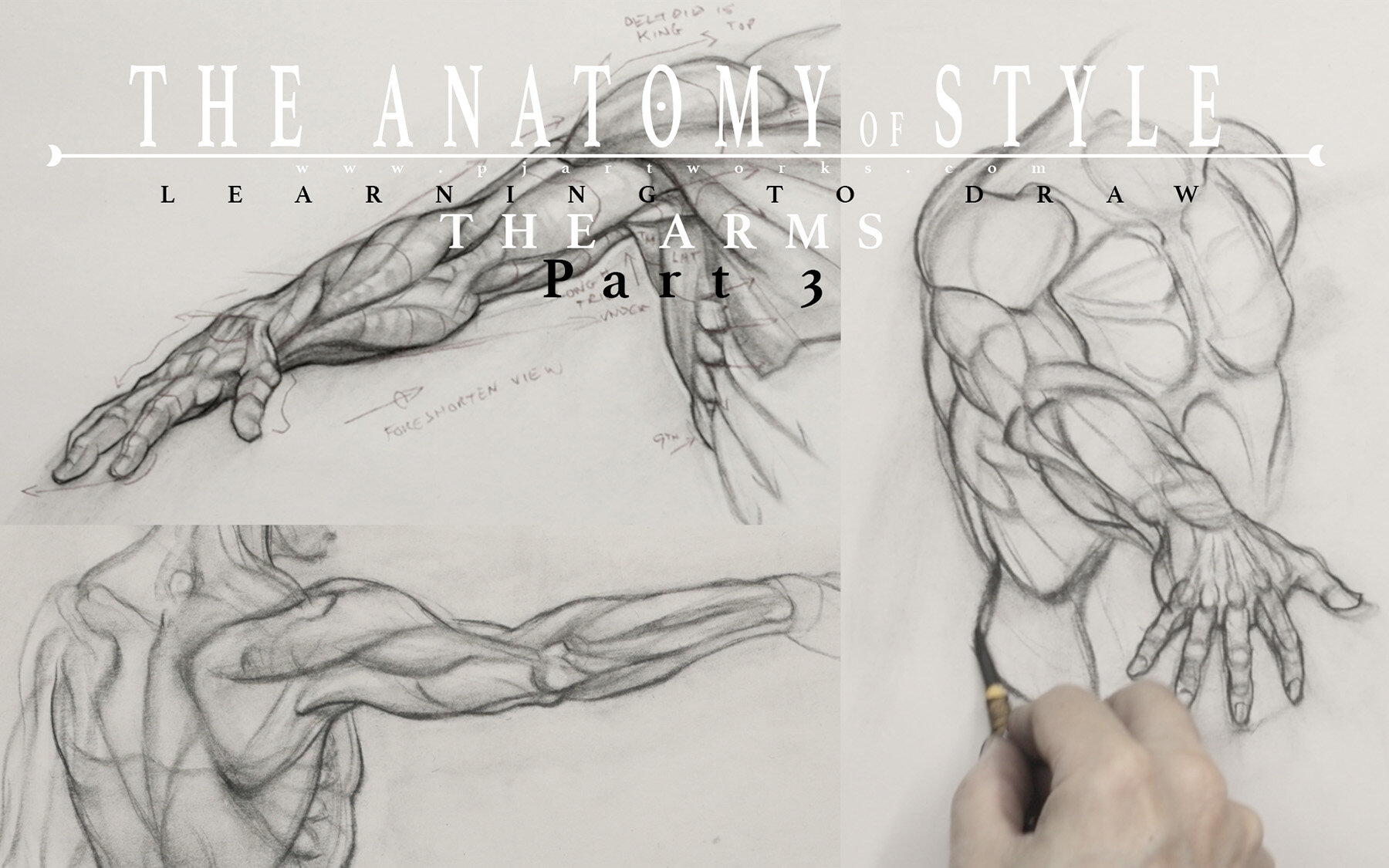 How To Practice Drawing Anatomy: The Essential Guide – Improve Drawing