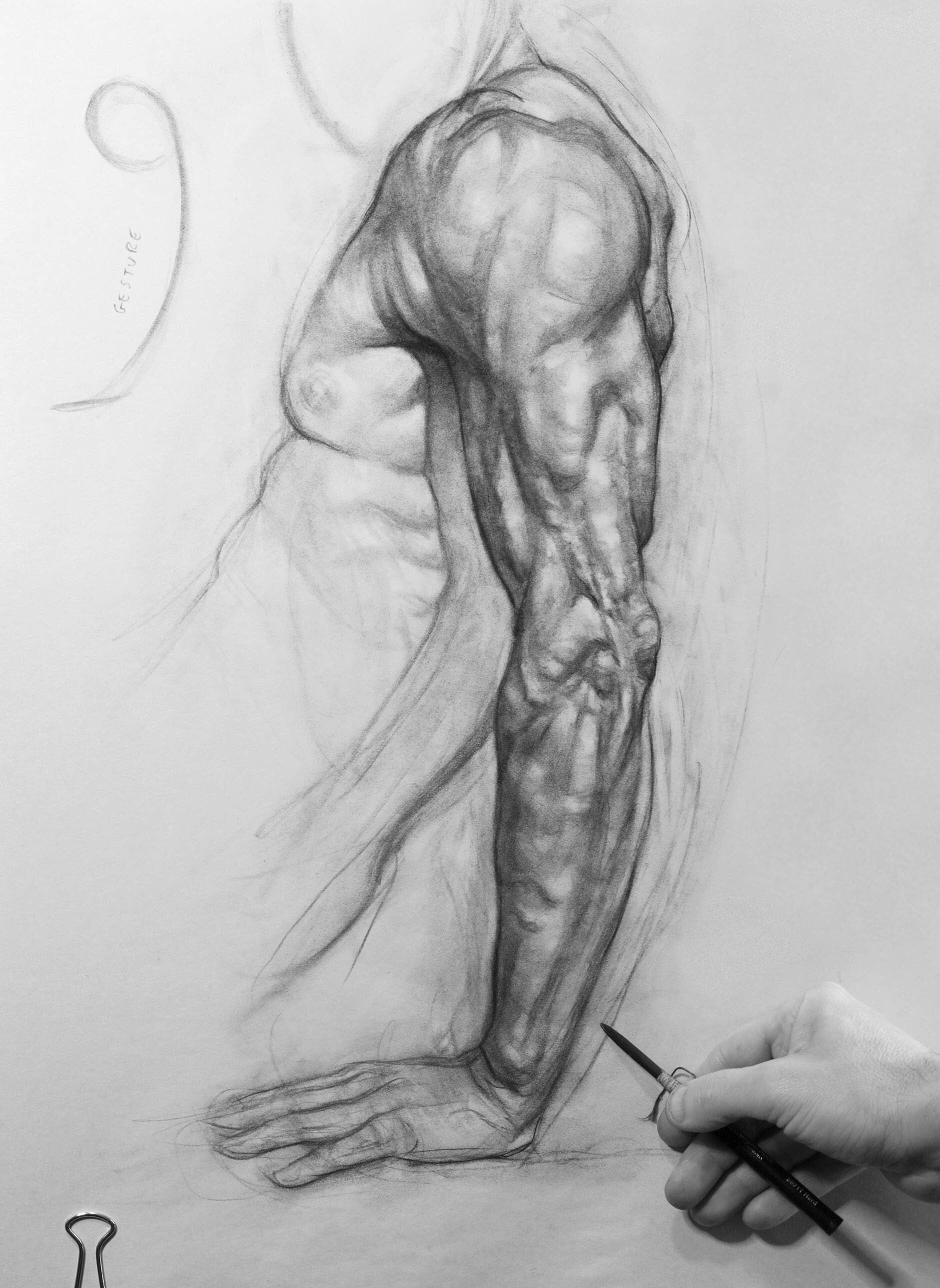 Biggest drawing. Баммес анатомия мышцы рук. Patrick Jones художник. Плечевой пояс анатомия Баммес. Мышцы плечевого пояса анатомия человека Бамме.