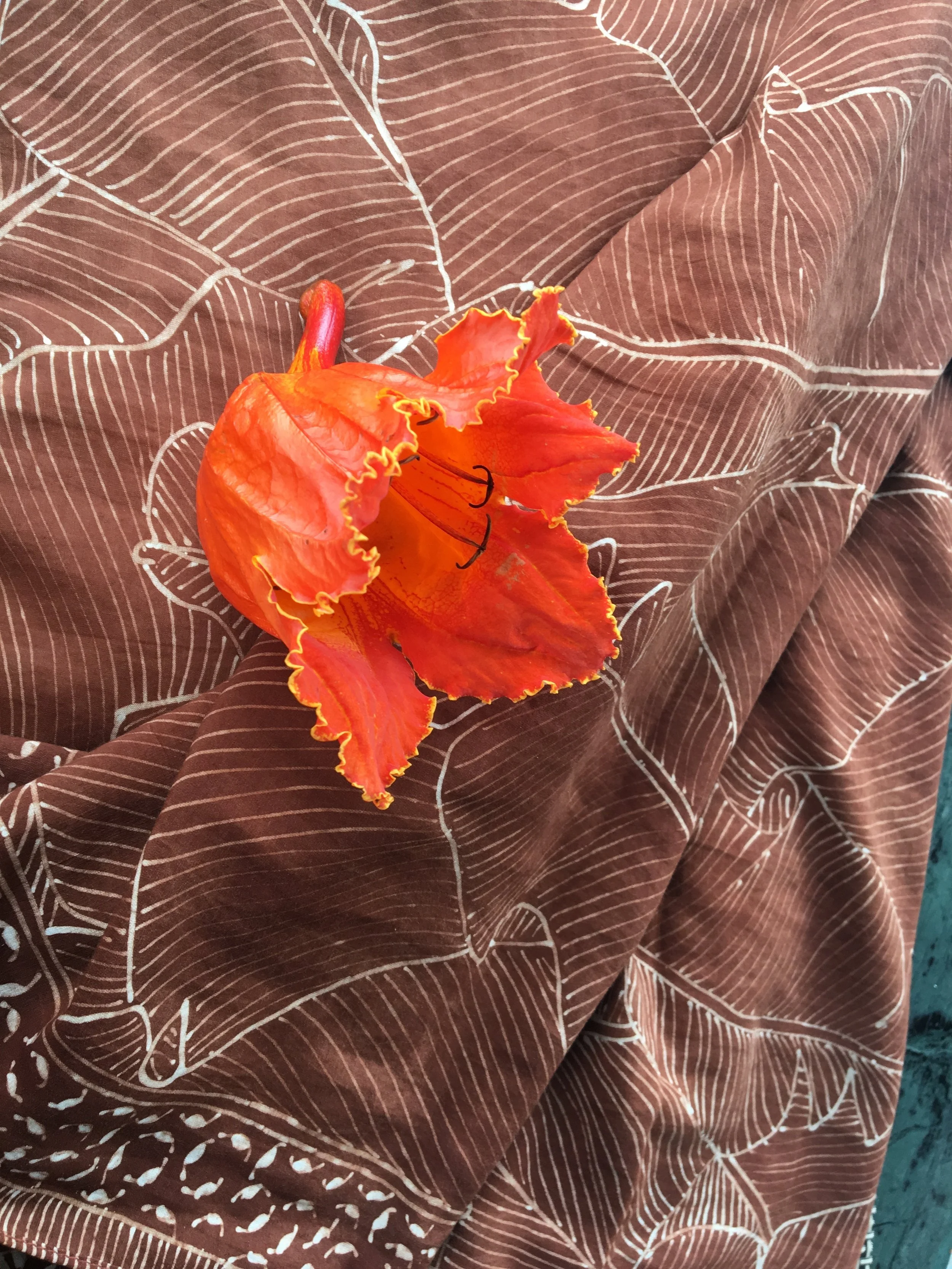 Warna Dan Motif Batik Losari Terinspirasi Dari Alam Sekitar