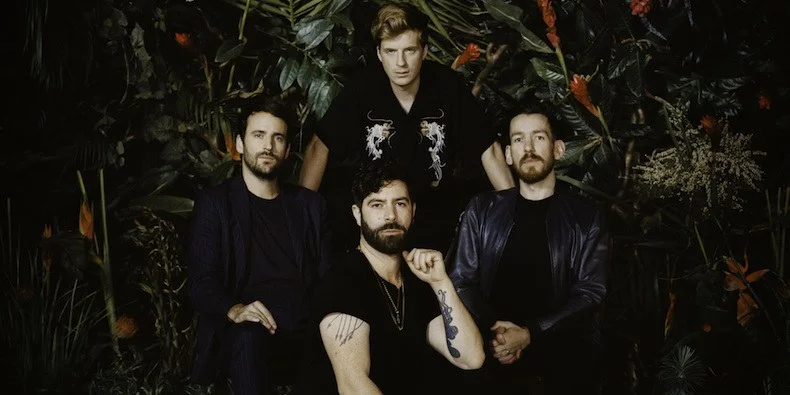 Foals (1).jpg