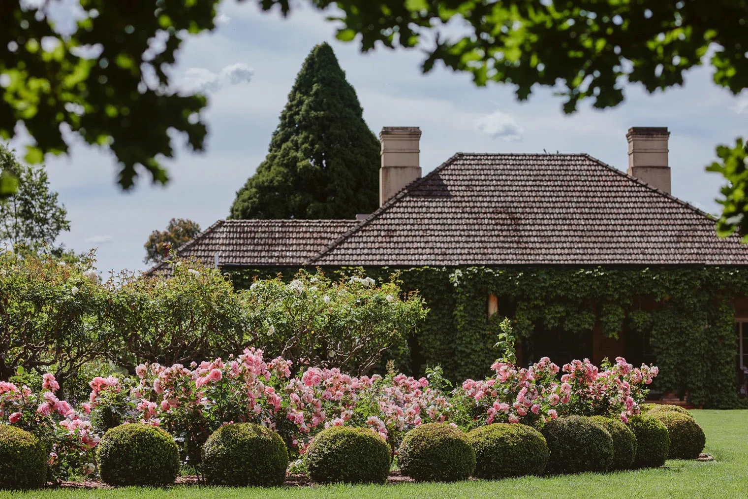 Alana_Corrie_Bendooley_Estate_Bookbarn_Southern_Highlands_wedding_017.jpg