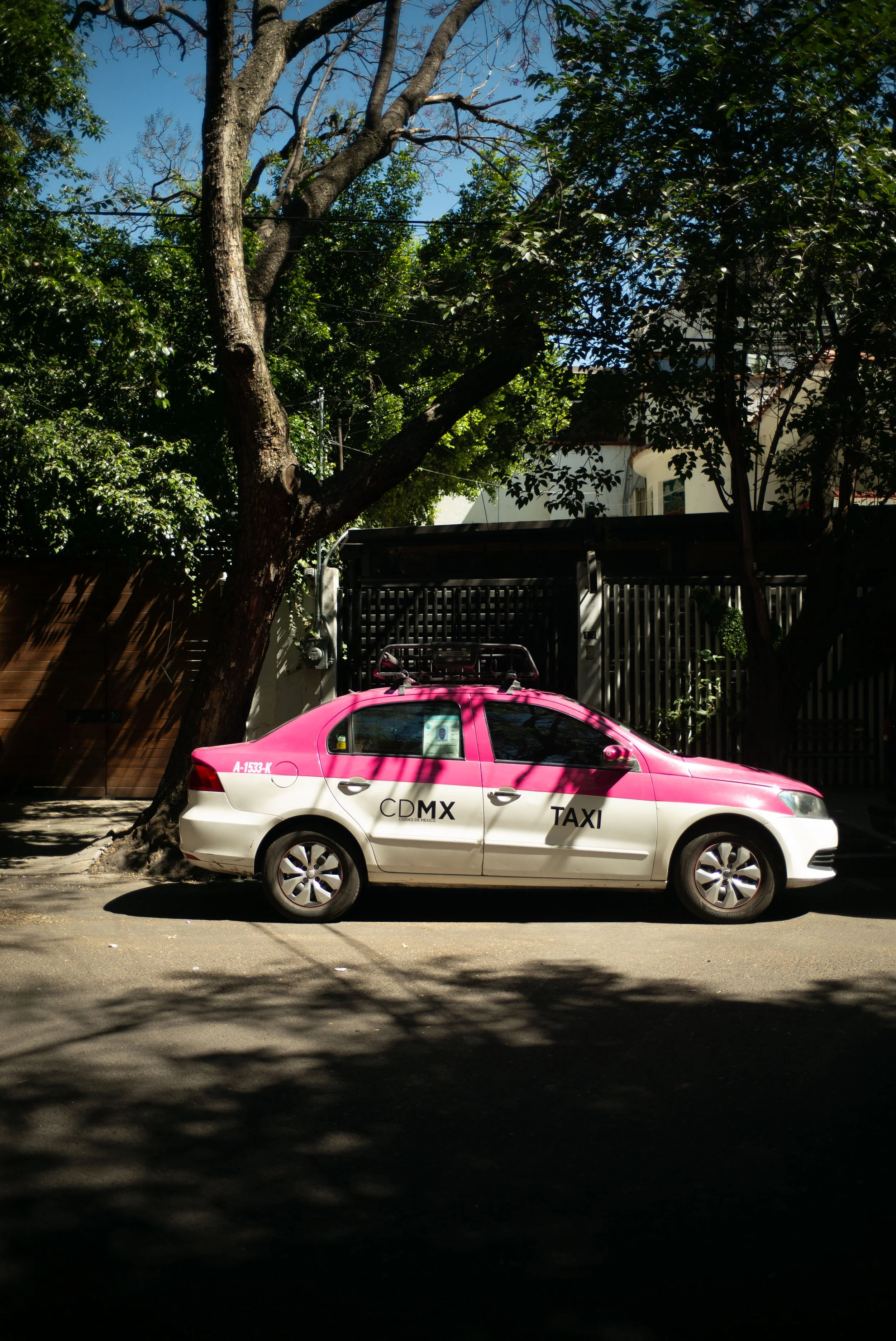 L1001813.jpg