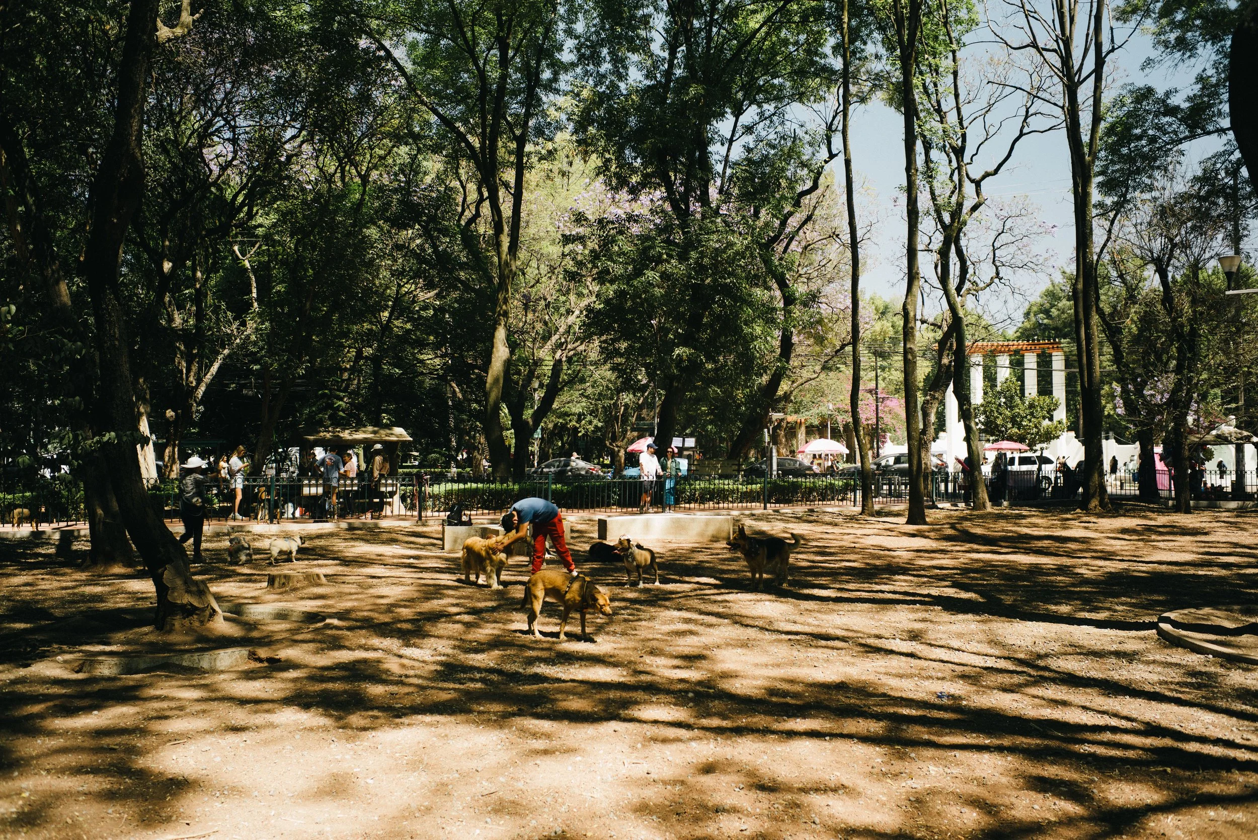 L1001862.jpg