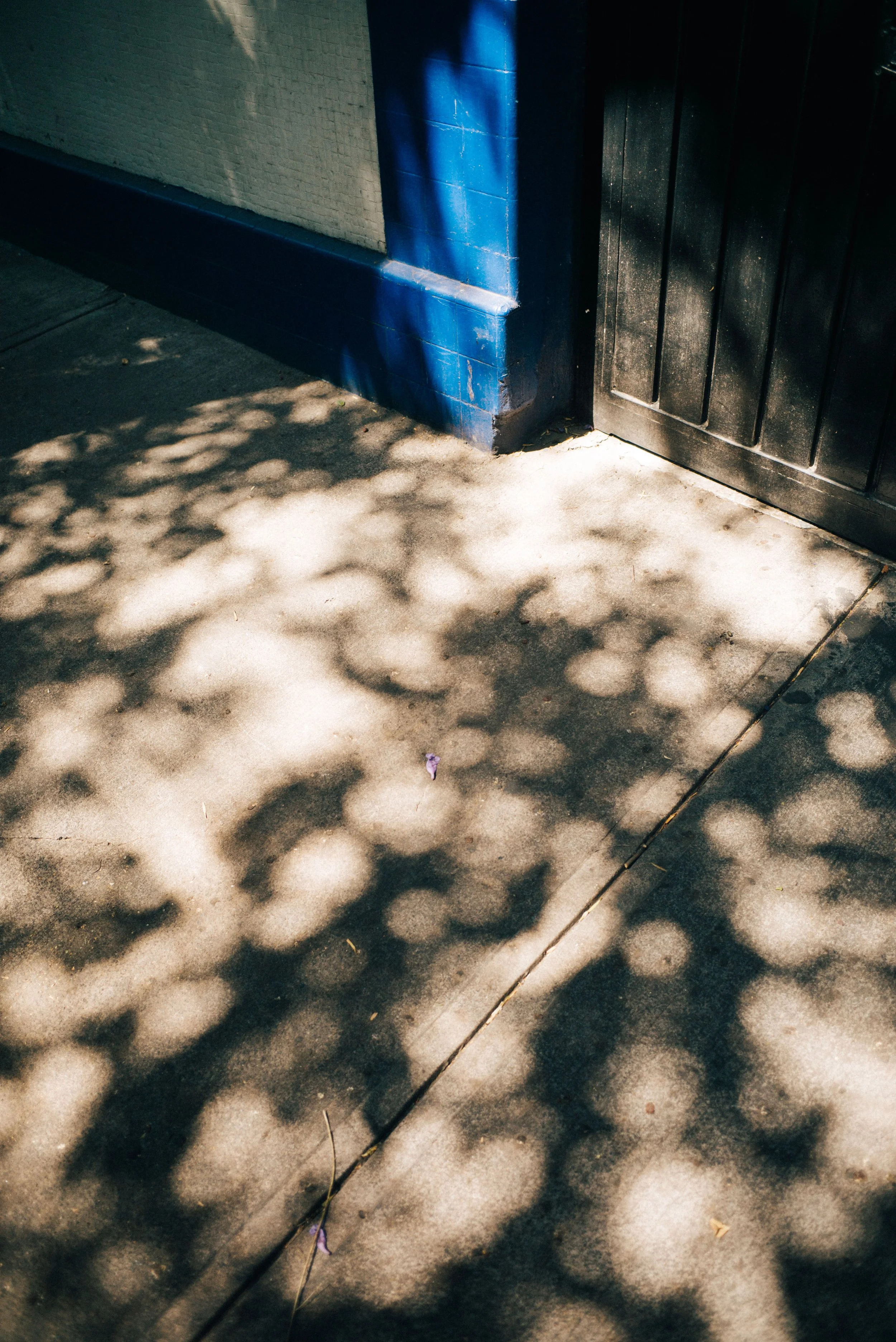 L1002067.jpg