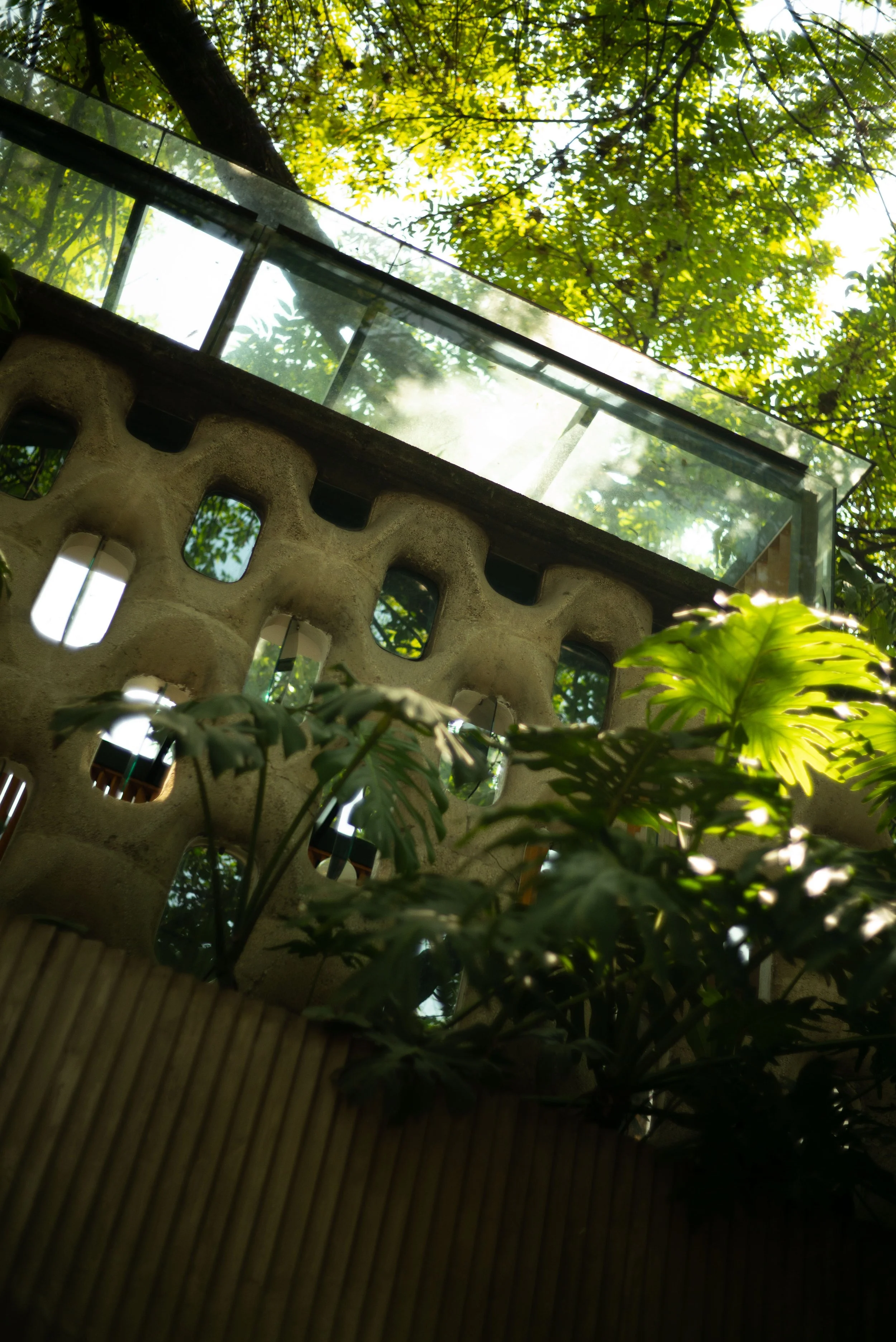 L1002102.jpg