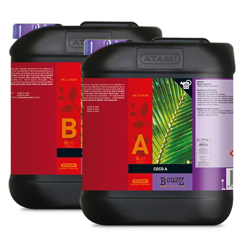 BCNAB5.jpg