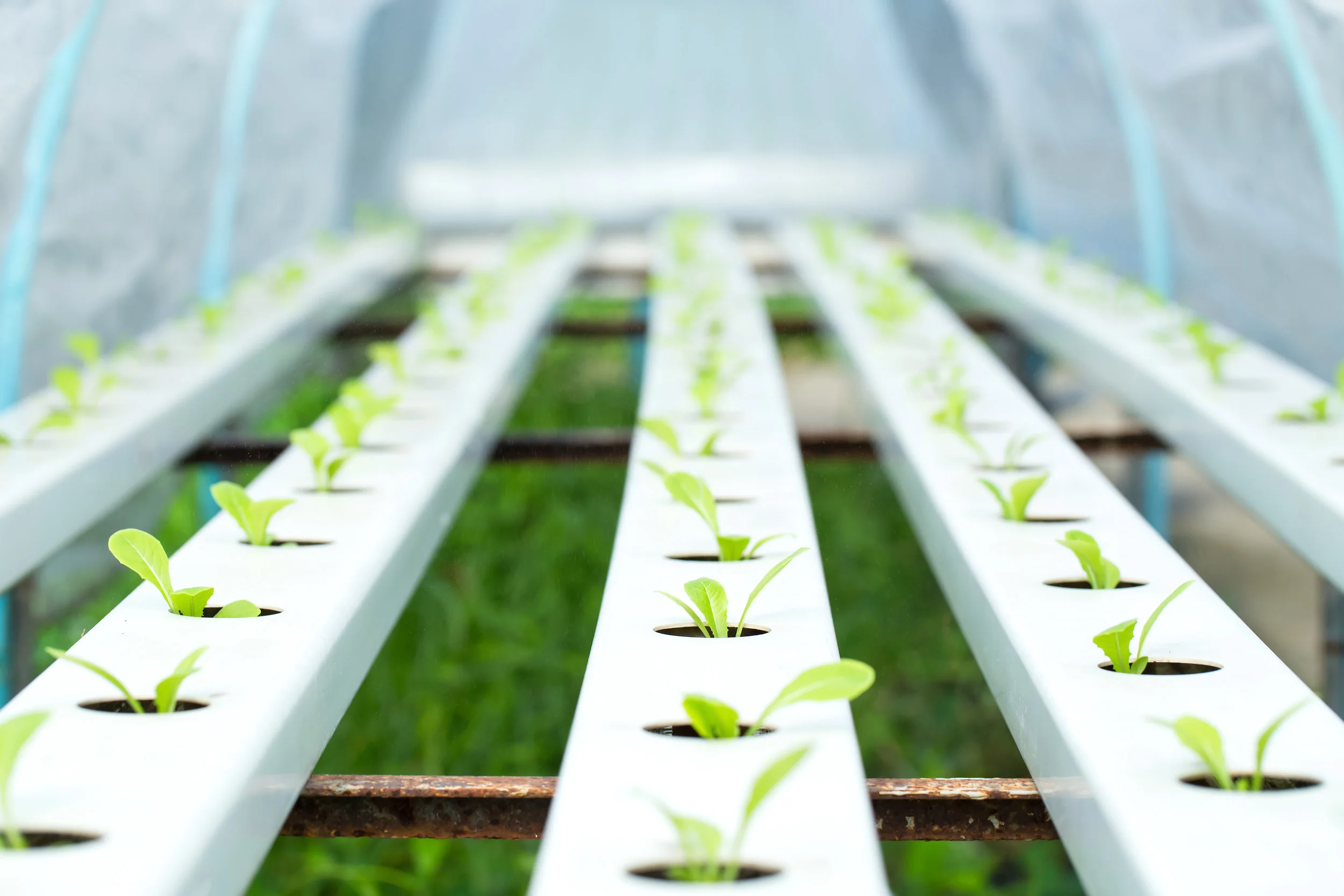GROW SYSTEMS 5.jpg