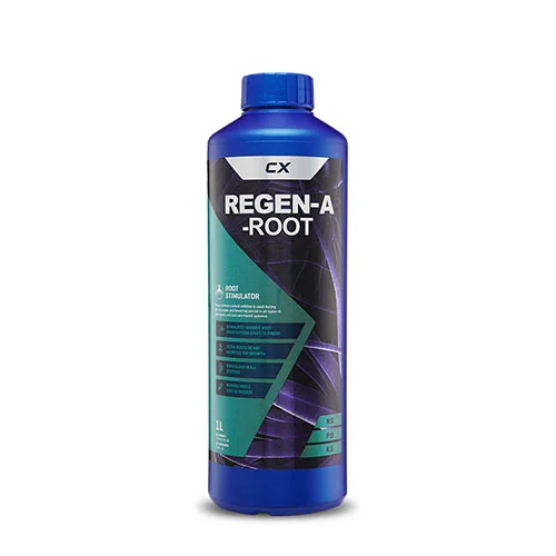 regenaroot1.jpg