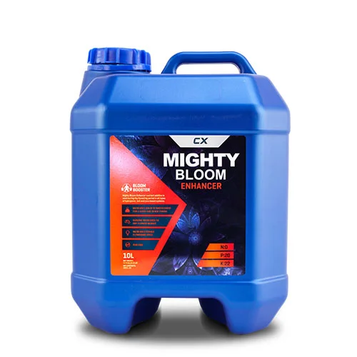 mighty bloom3.jpg