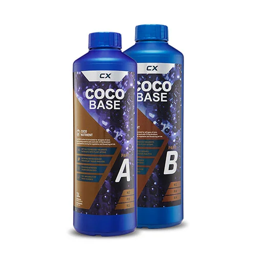 coco1.jpg