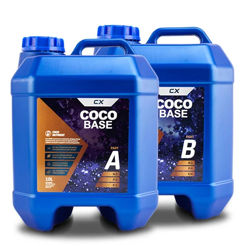 coco3.jpg