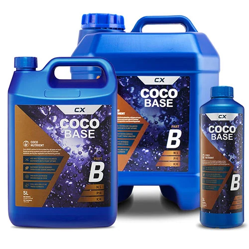 cocofam.jpg