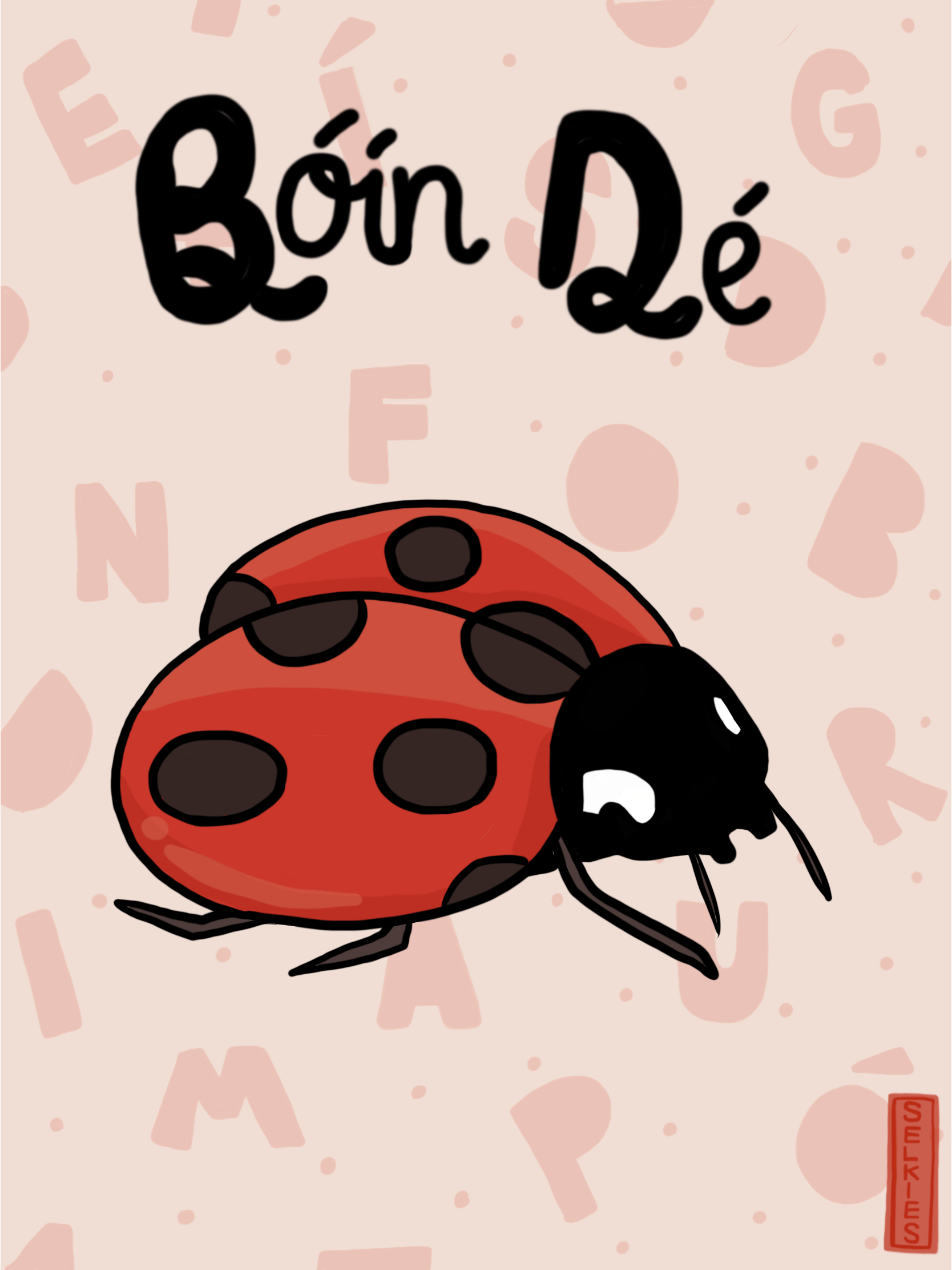 FAL Bóín Dé.png