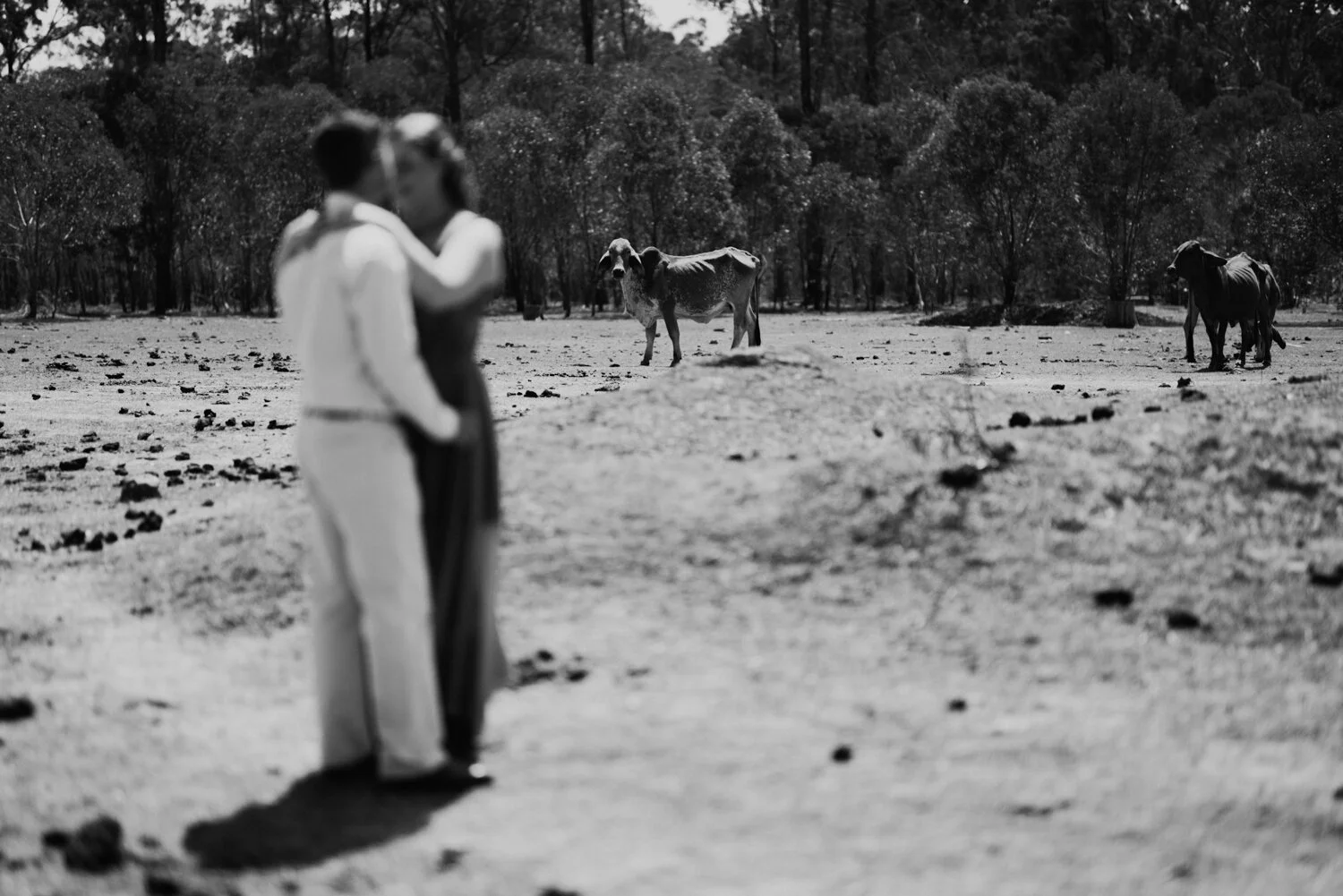 country elopement agnes water