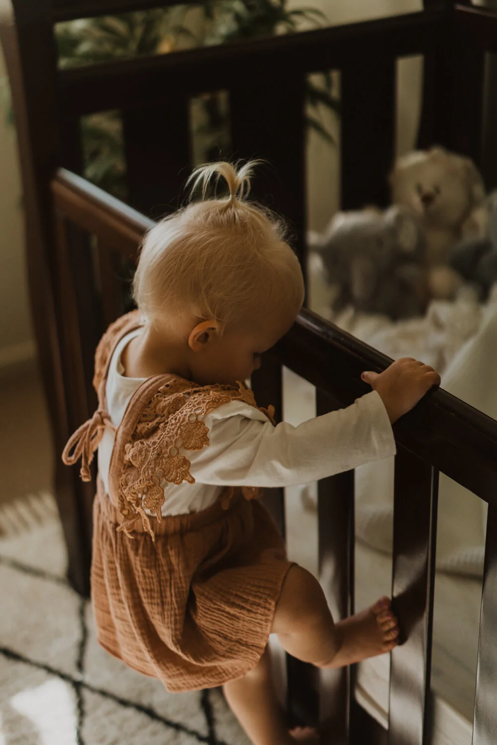 family session agnes water