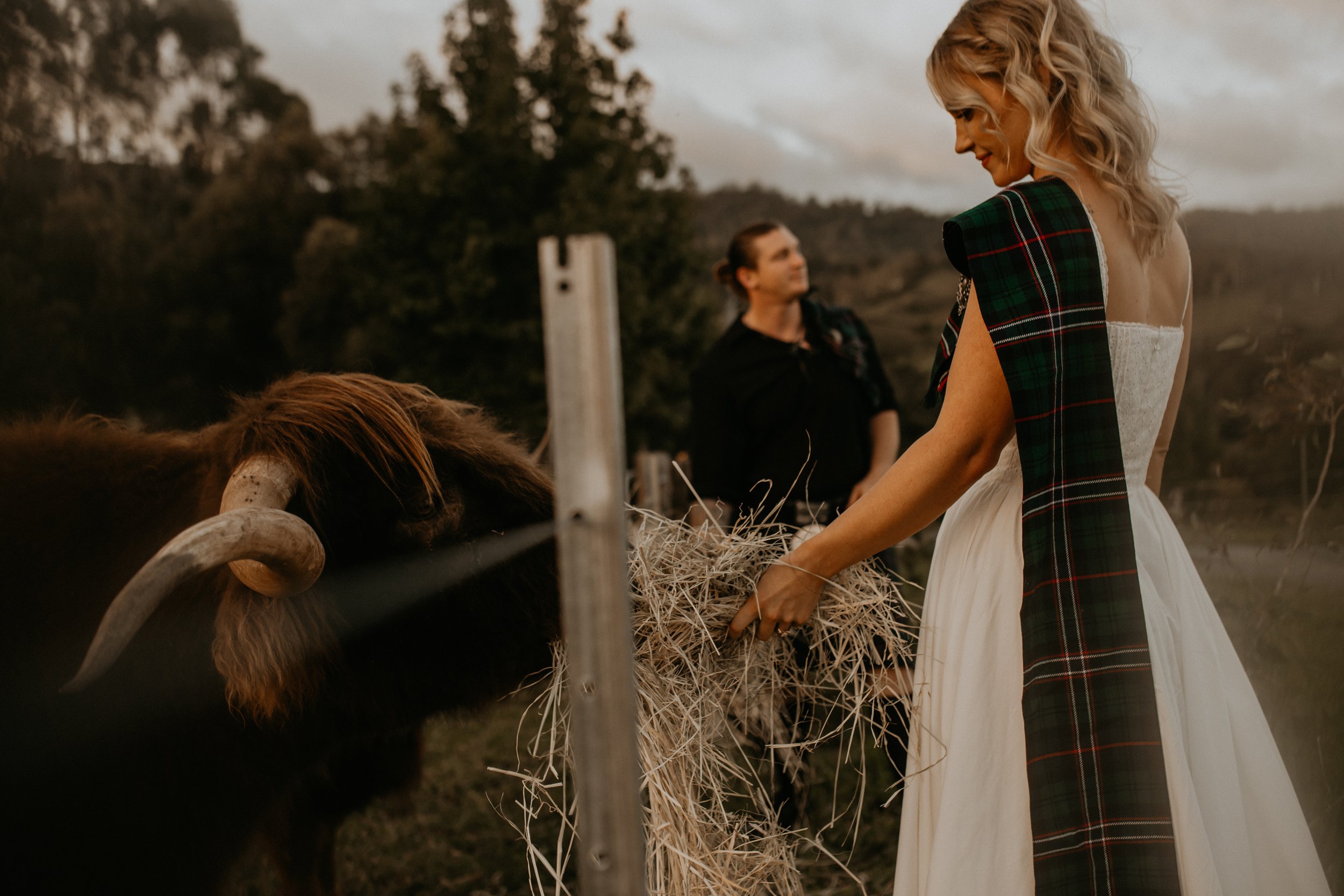 Dayboro and Samford Valley - Couples and Elopement Photographer