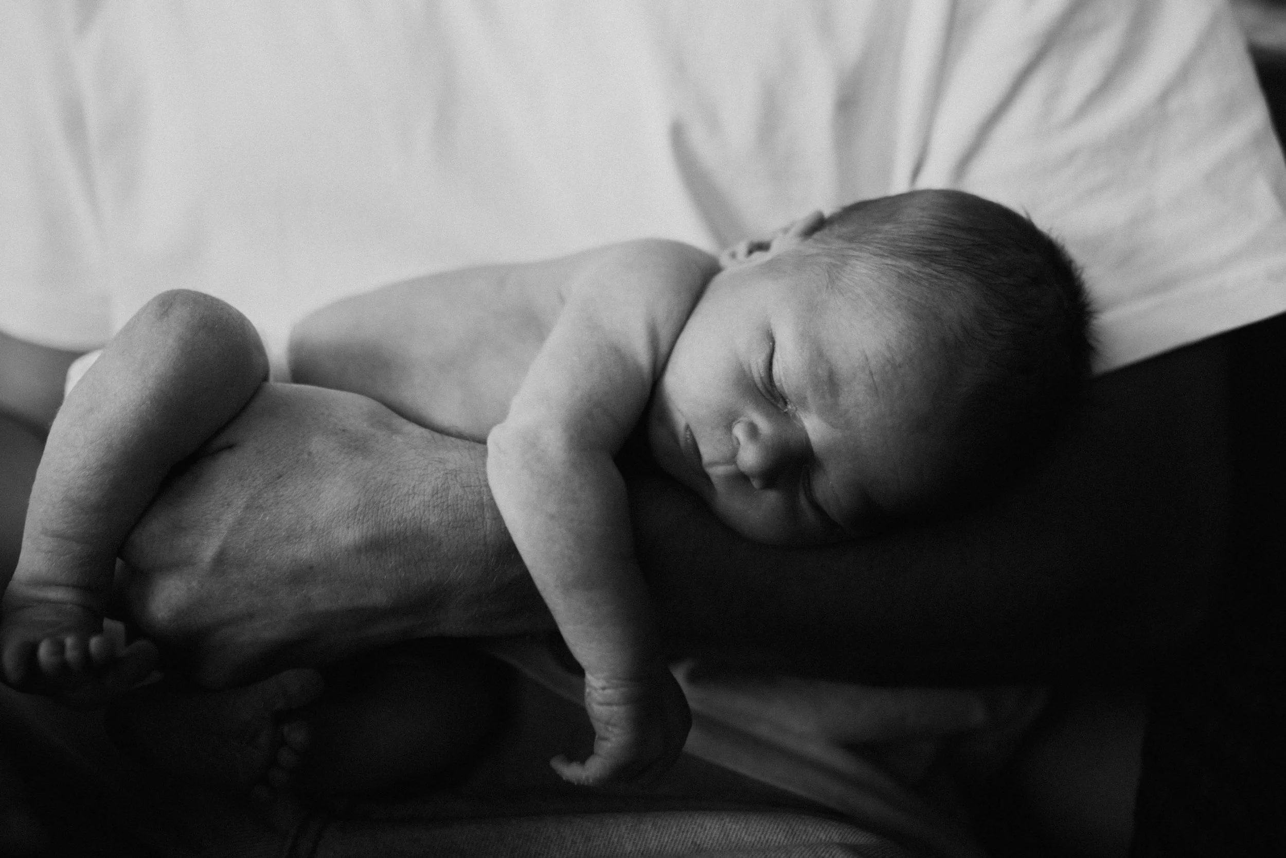 Dayboro Family photographer