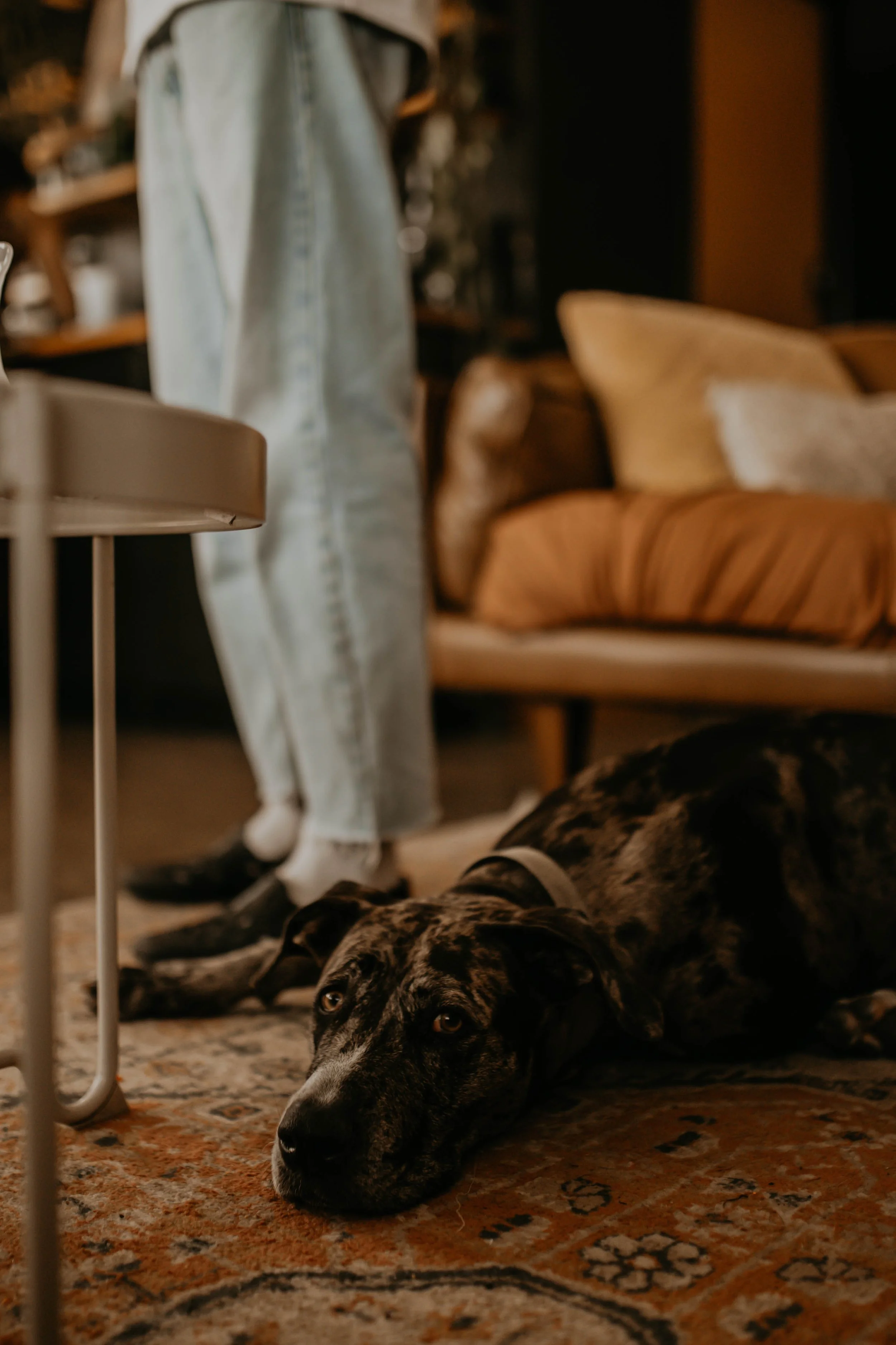 Dayboro Family photographer