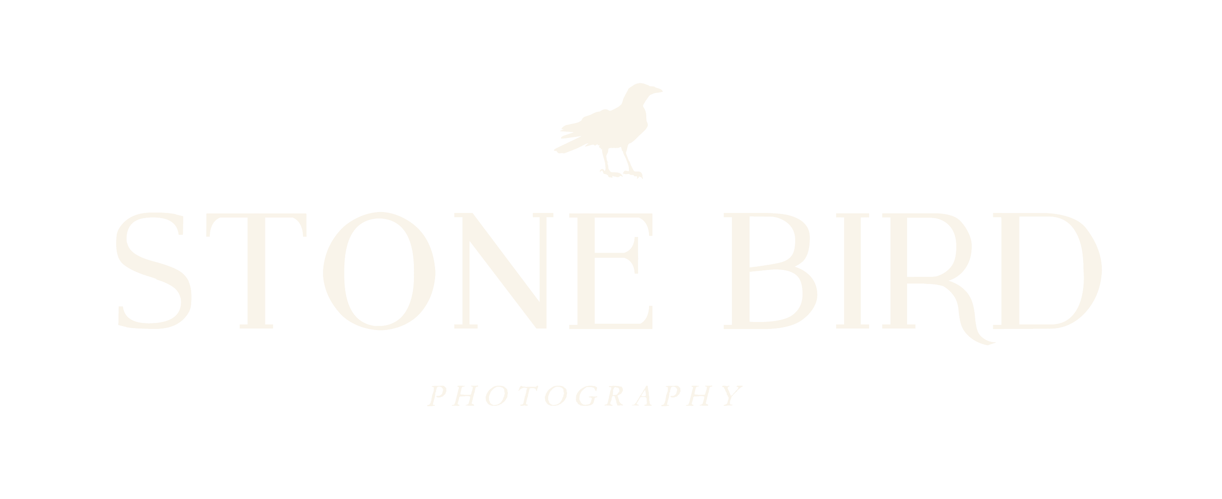 Stone Bird Photography