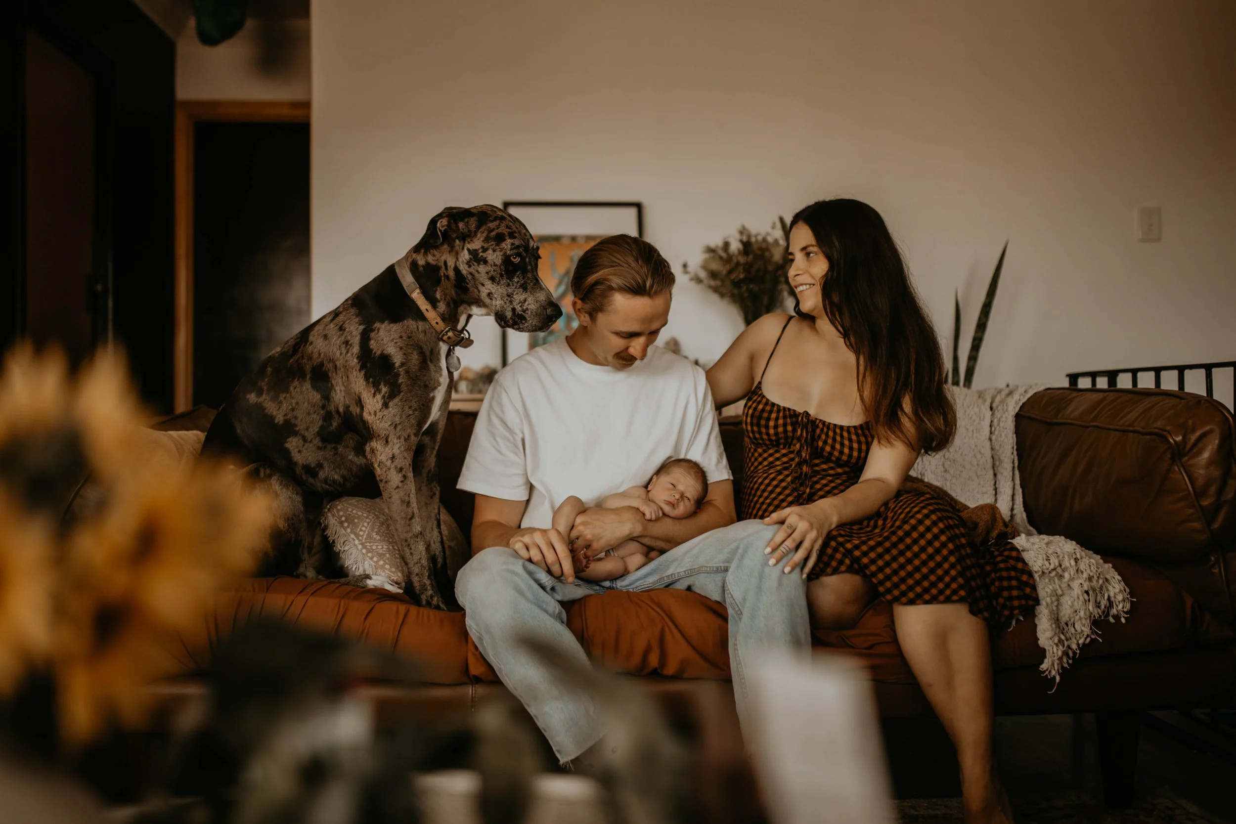 natural newborn photography Brisbane early postpartum moments at home