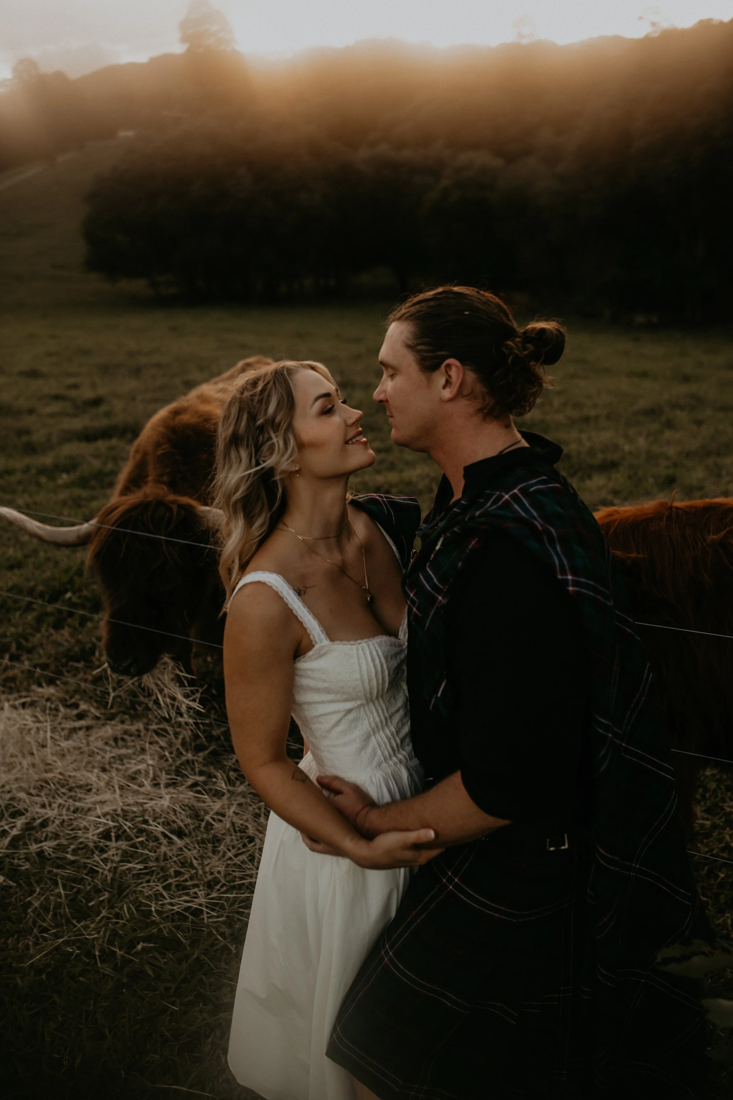 Mount Pleasant / Dayboro elopement with highland cows