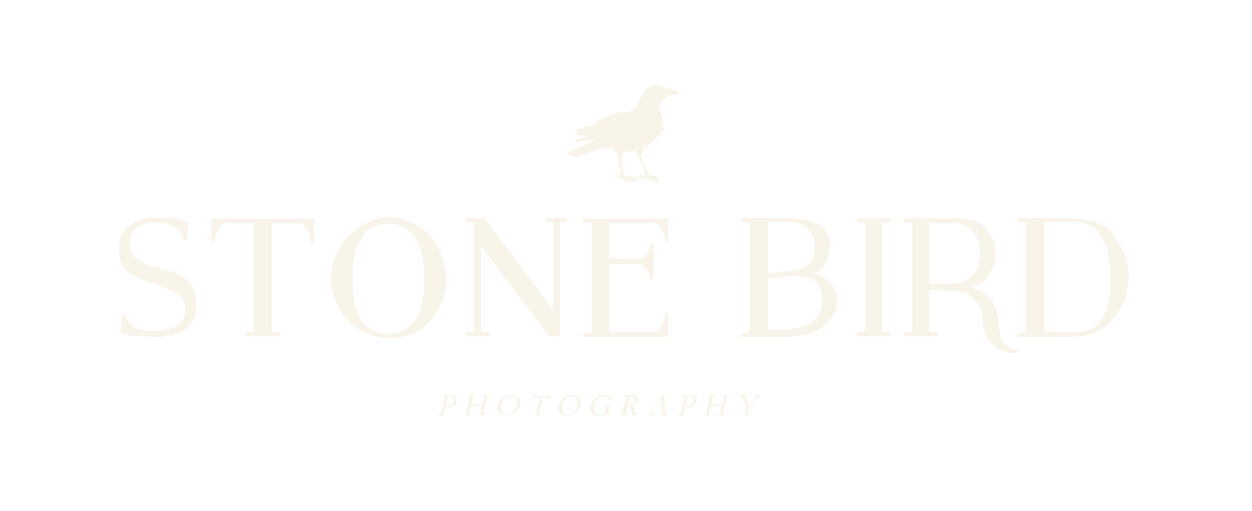 Stone Bird Photography