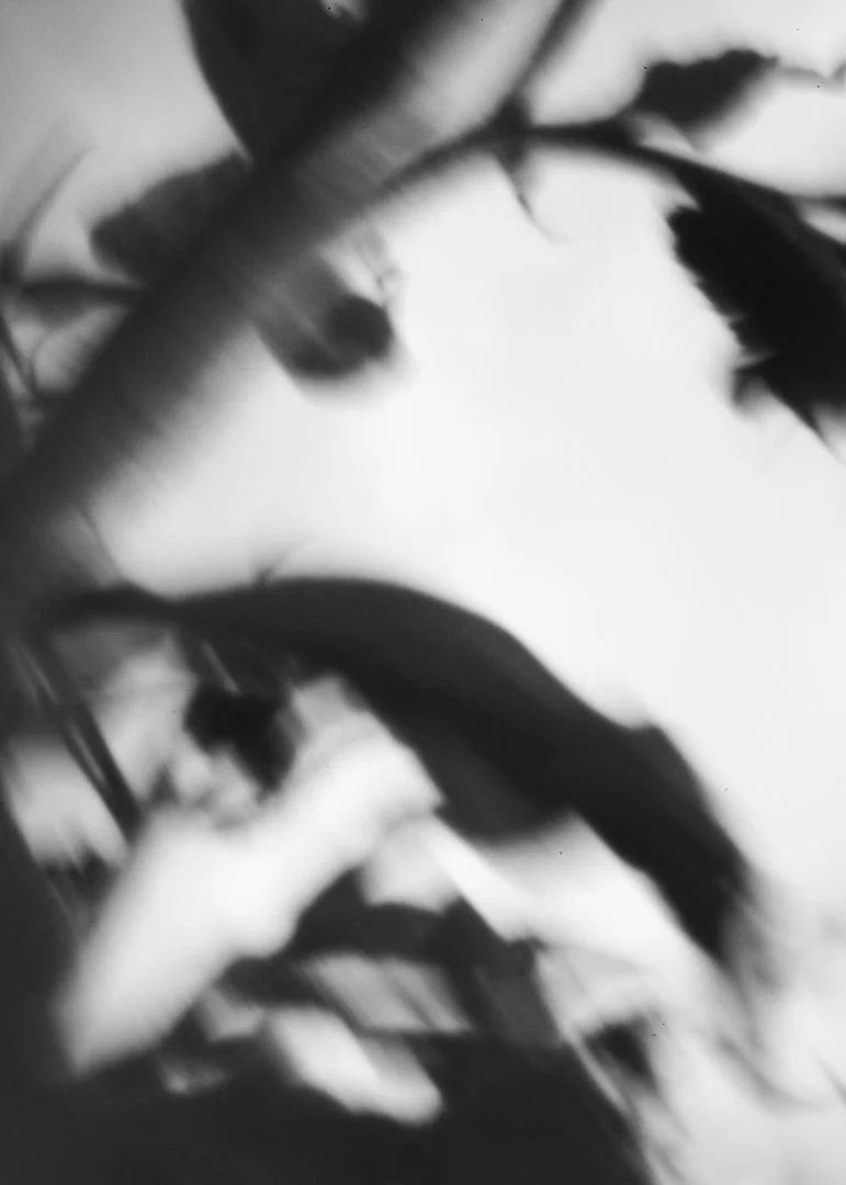Ida-Weber_Fliehkraft_7D9C46E6-2A79-4A00-9485-3DB71355AE64.jpeg